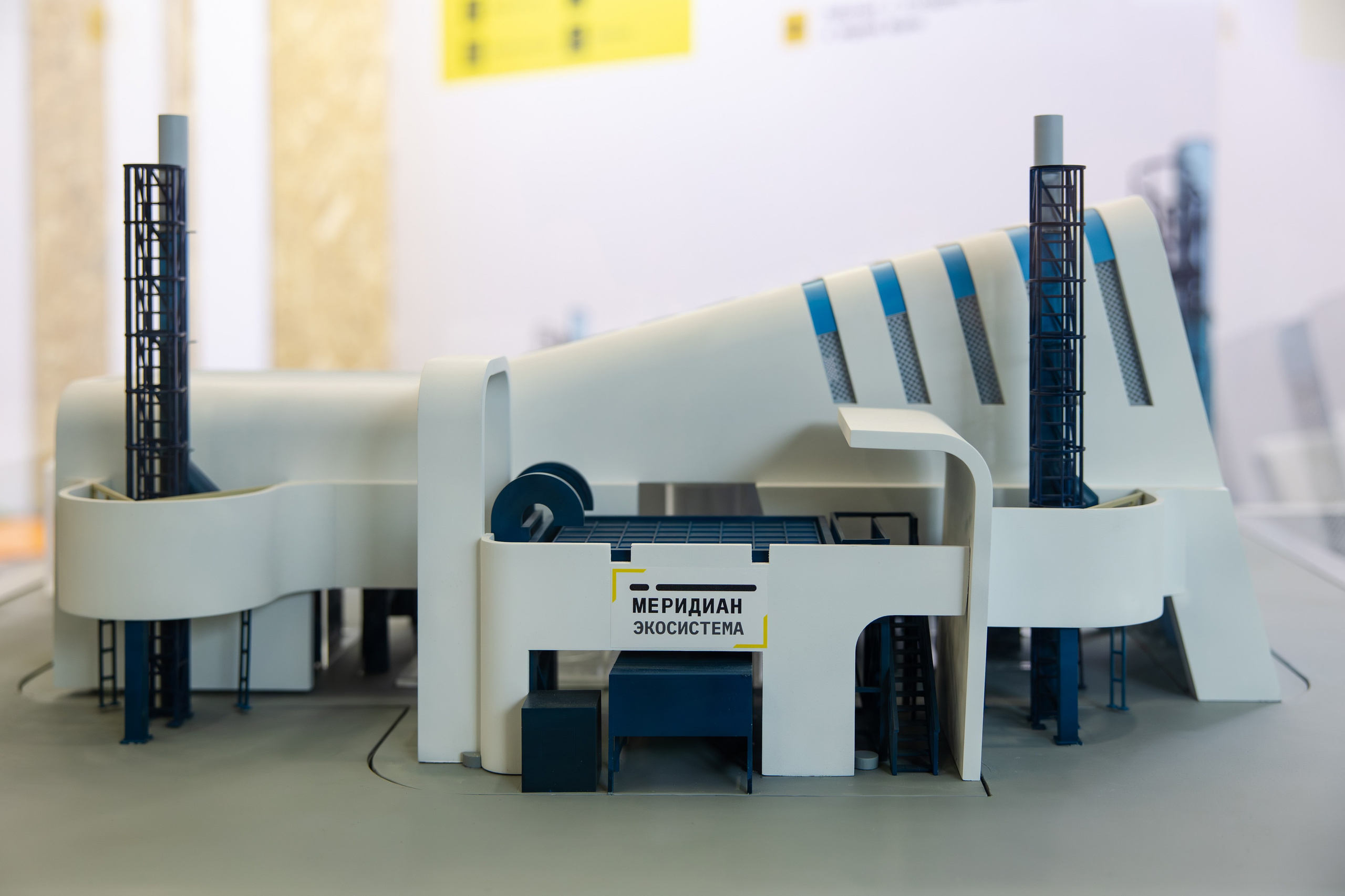 АНО «Общественный форум «Экология». Свадебный репортажный фотограф в Москве