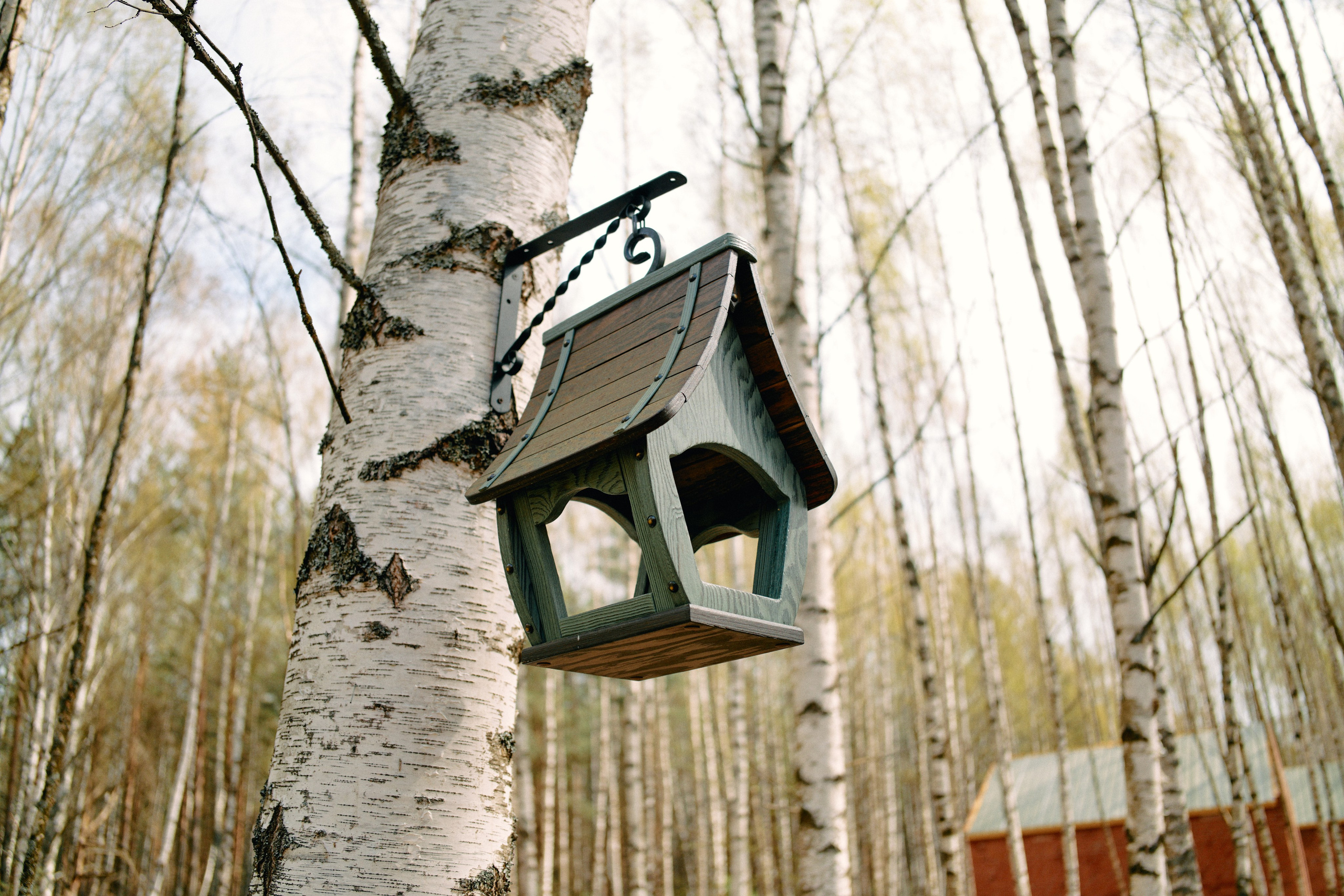 Бутик-отель Поле летом. Профессиональный Фотограф во Владимире, в Москве и в Суздале — Полина Романычева