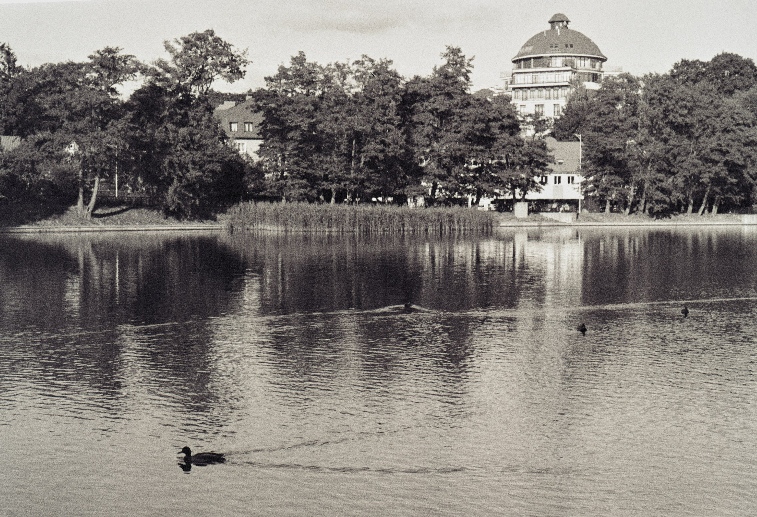 Landscapes and city. Photographer in Kaliningrad