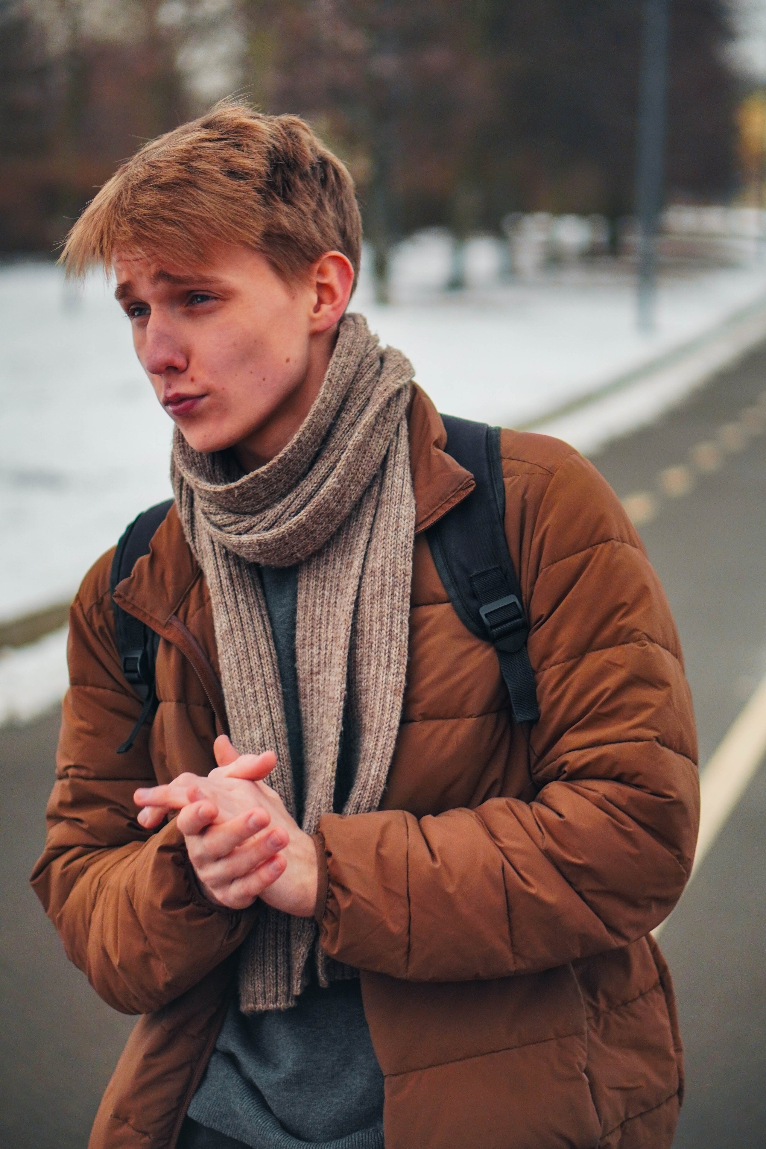 Лев. Видео и Фото