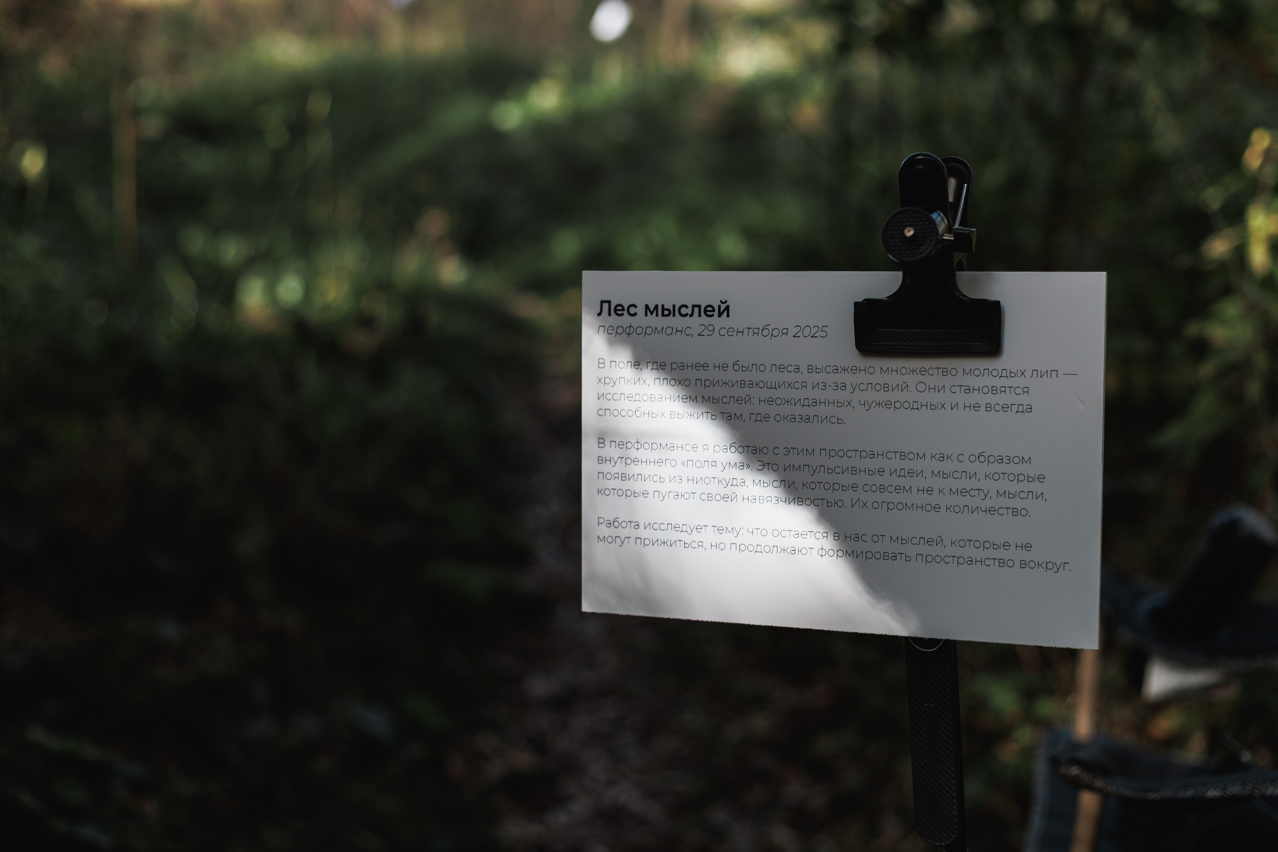 Съемка перформанса. Ксю Галиасфарова — Фотограф Казань