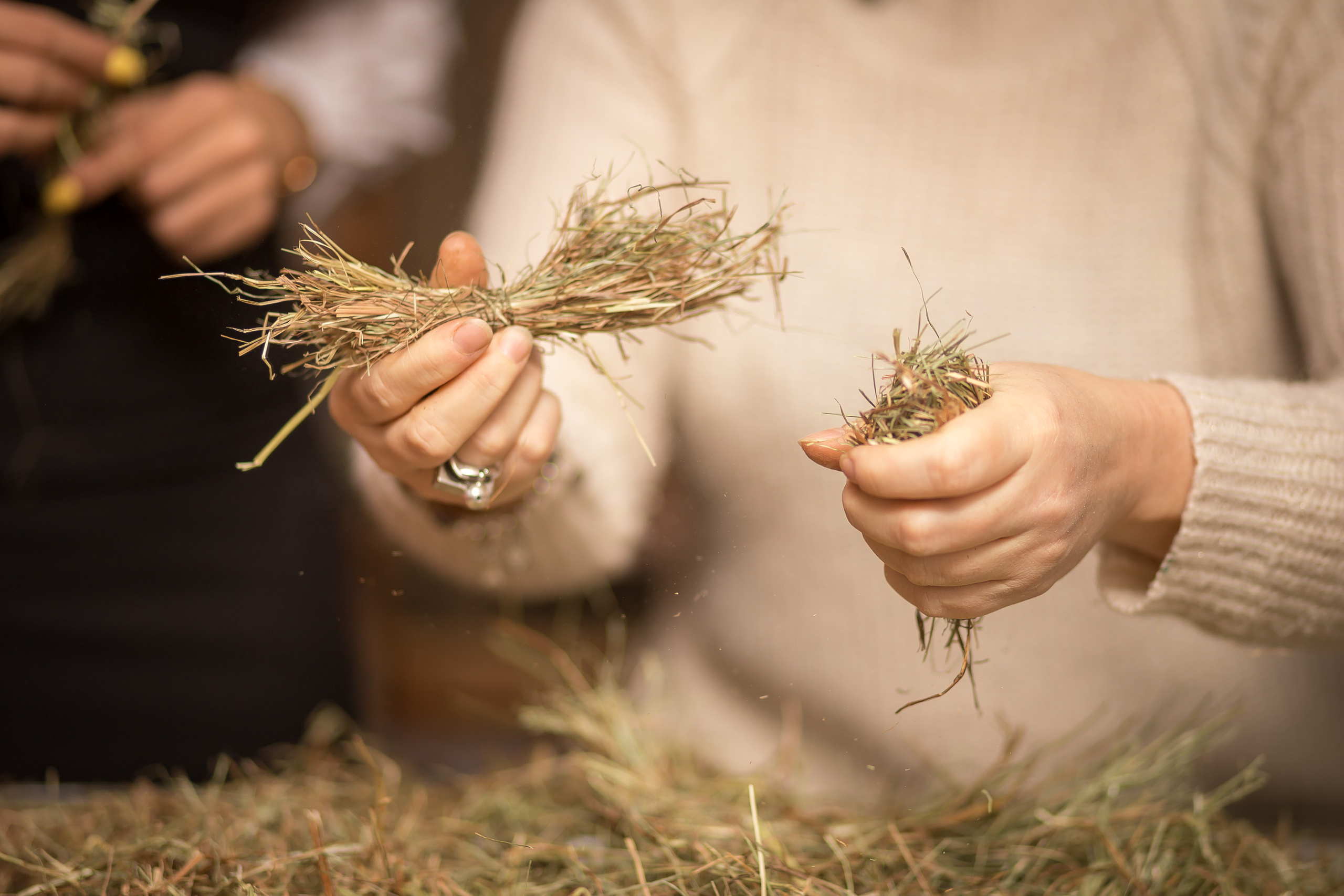 Телепроект «Вместе с мамой» — в мастерской Натальи Киляевой. Фотографиня Мария Дикова