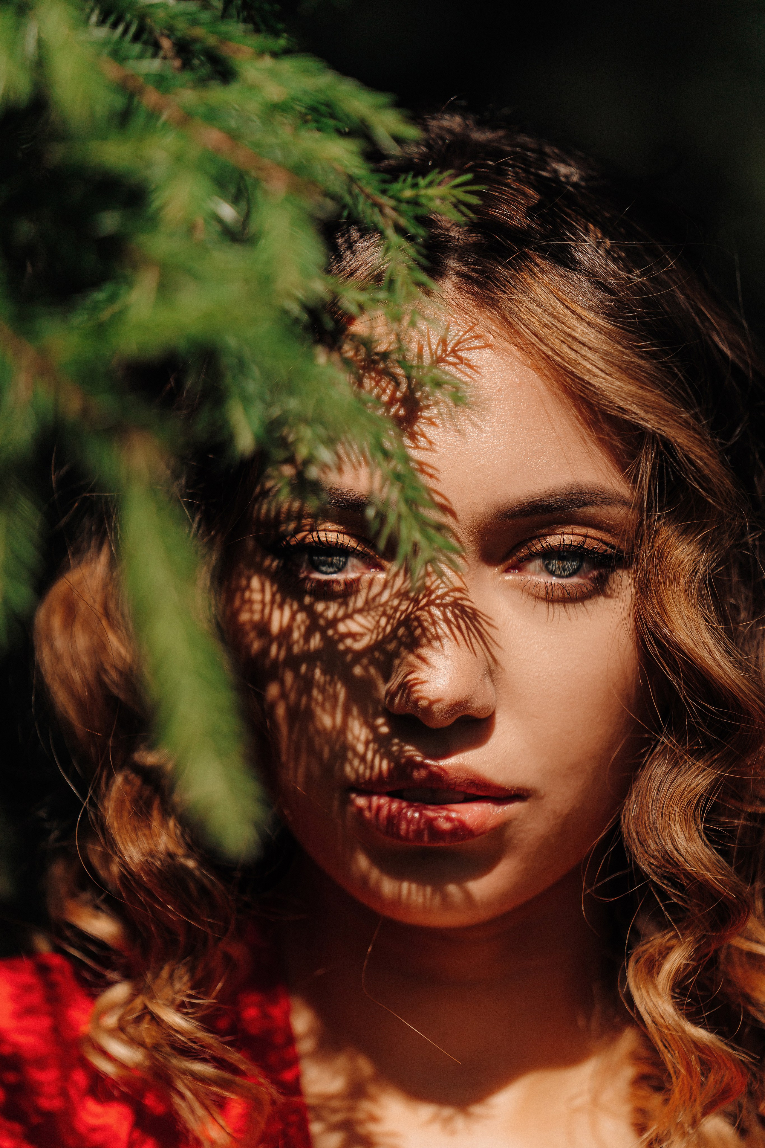 Butterfly. Lokos.pro Ник Соколов Фото и Видео Москва/Ростов-на-Дону