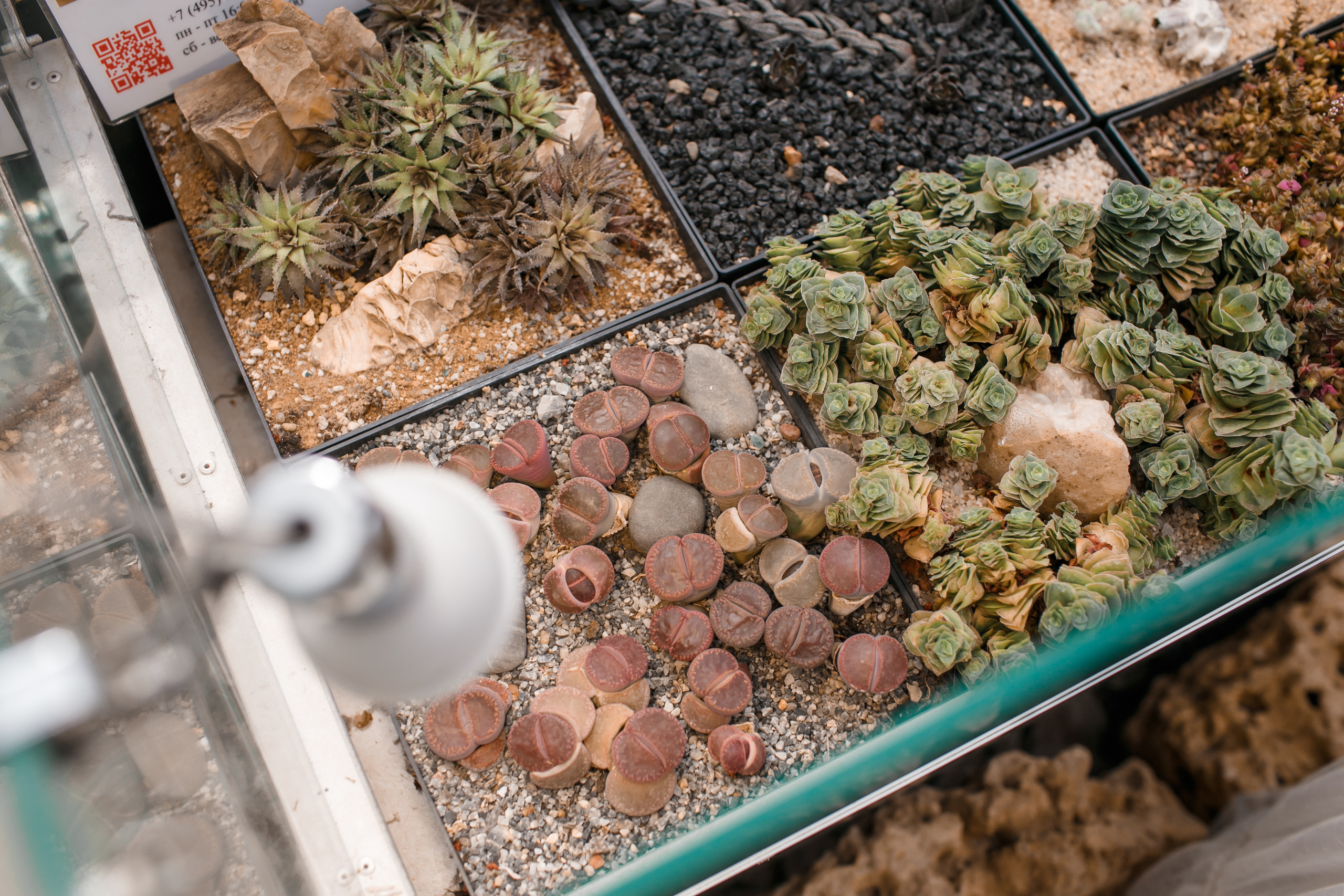 Свадьба Екатерины и Степана. Свадебный и репортажный фотограф (Москва, Королев и другие)