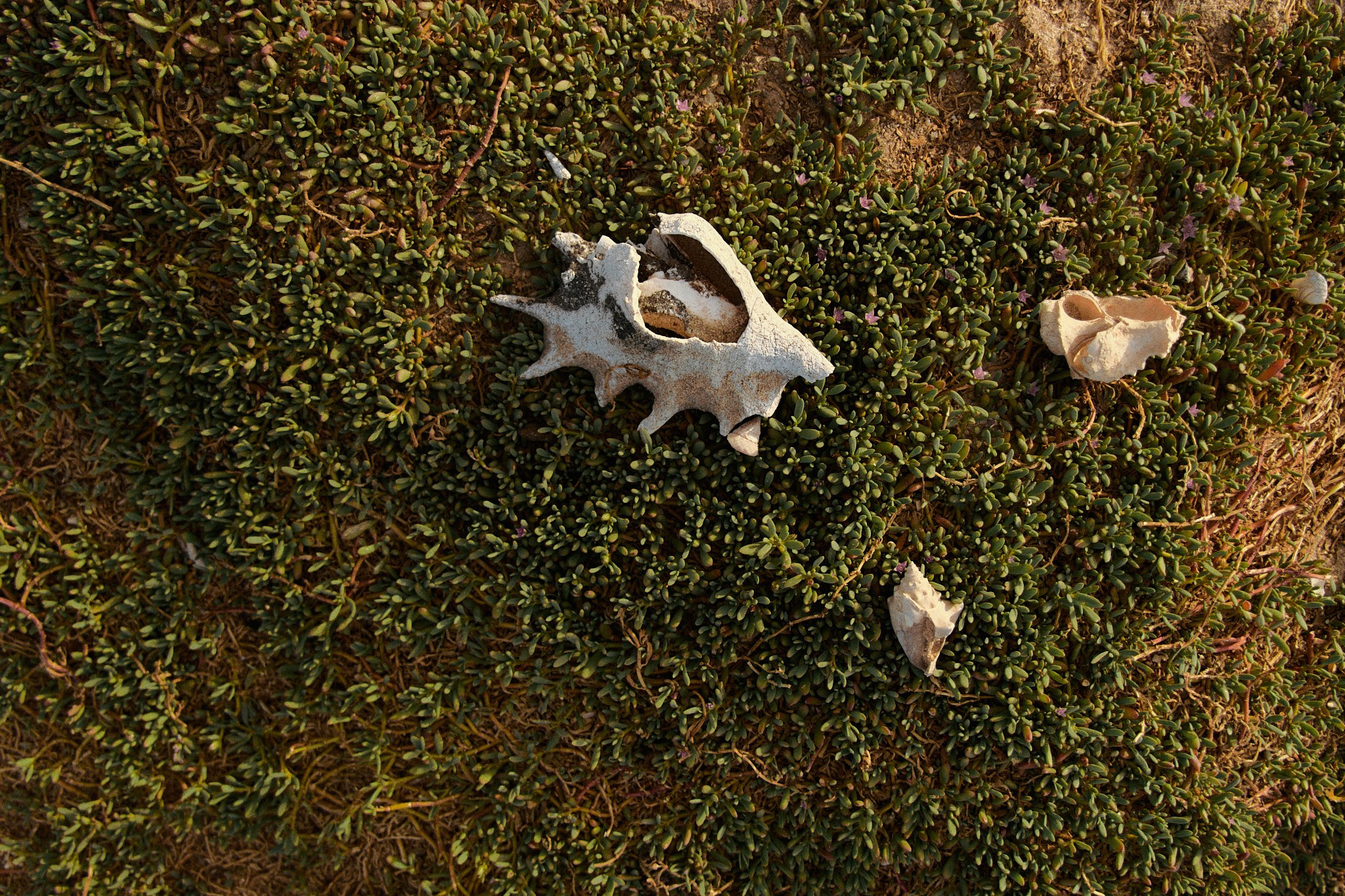 Улица горизонтальная. Jorgis — фотограф в Хургаде / обучение фотографии