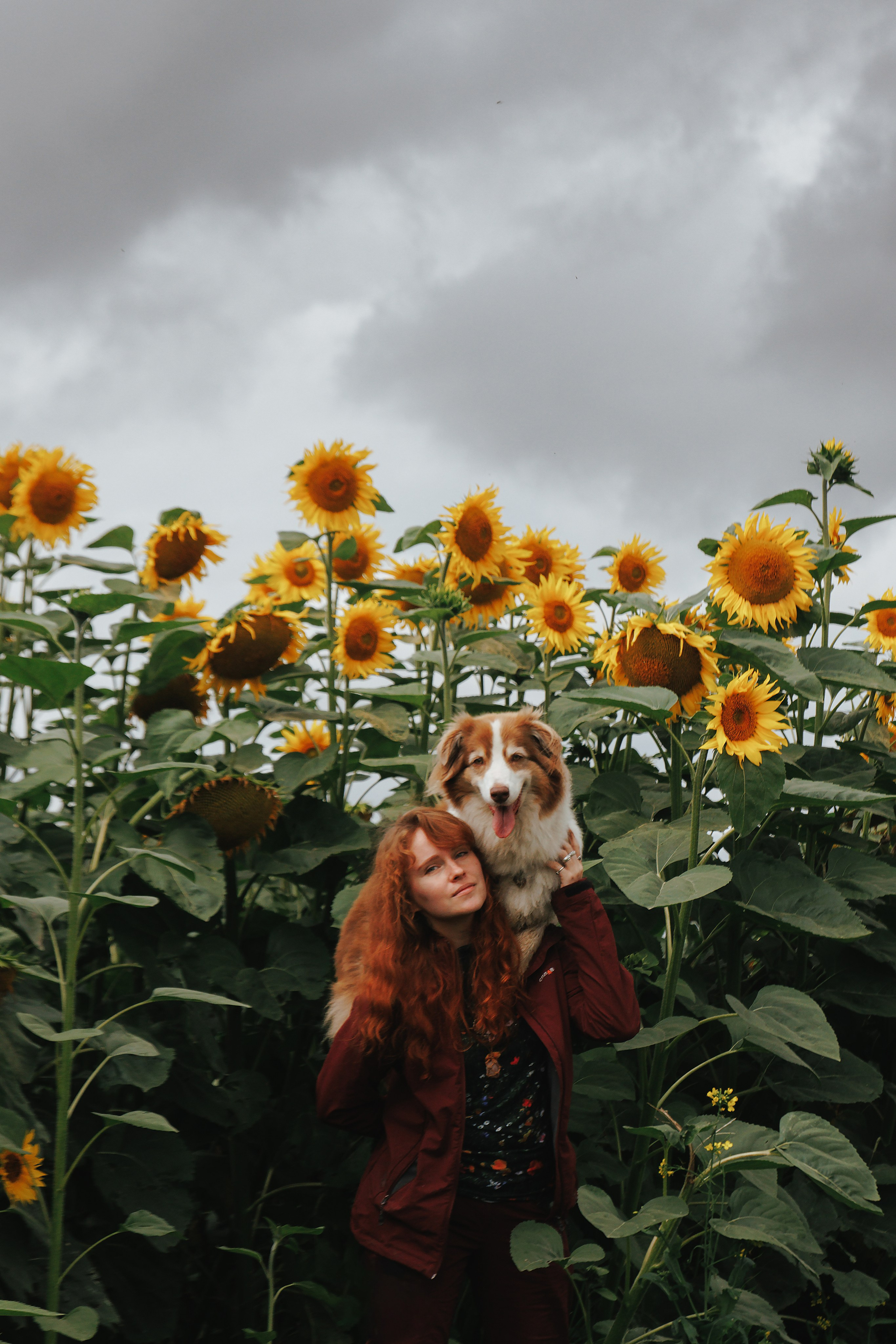 Волшебный лес с Тасей, Морошкой и Брусникой. Стас Соболь, фотограф анималист, репортажник, Москва