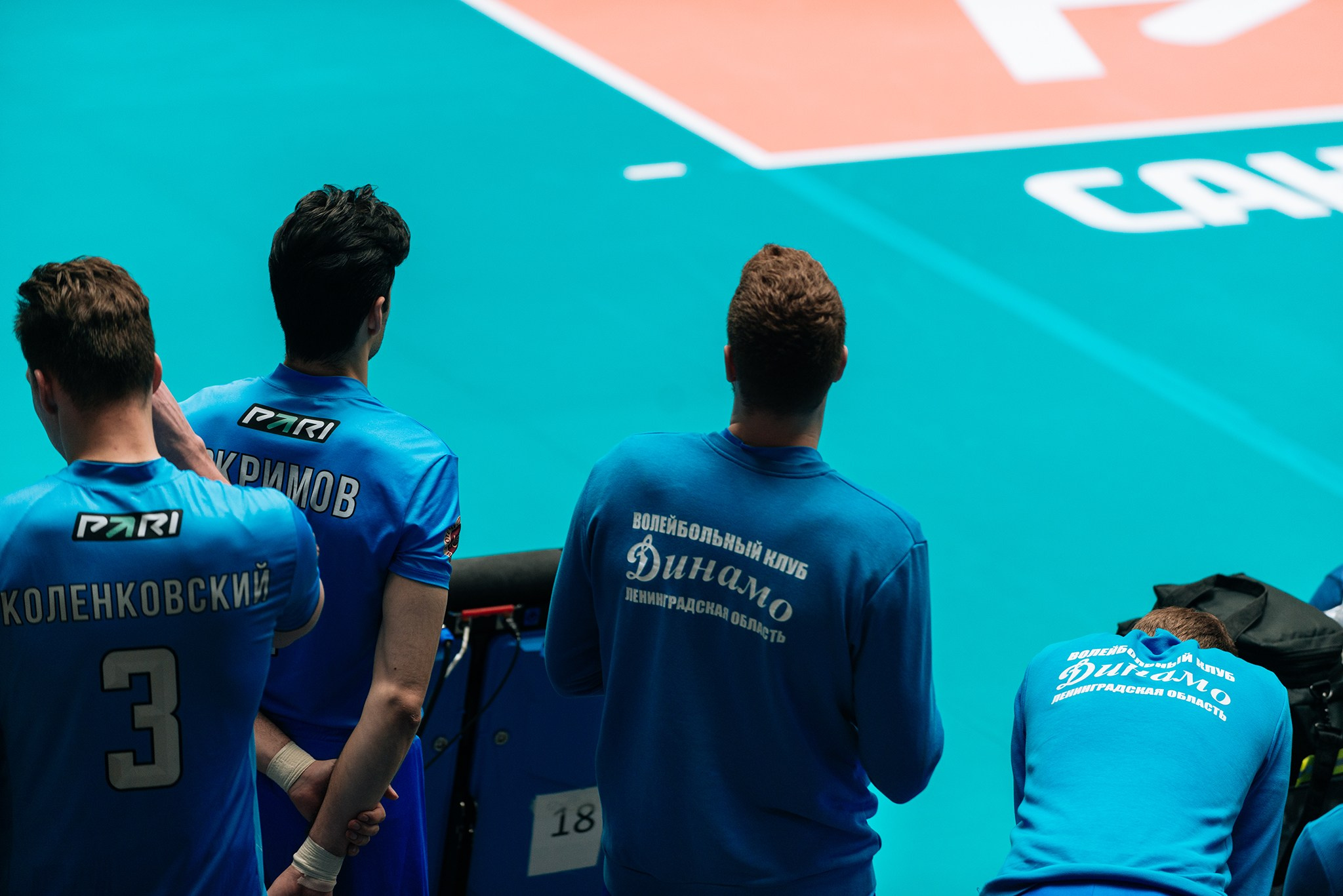 Зенит — Динамо-ЛО. Чемпионат России по волейболу. Февраль 24. Репортажный фотограф в Санкт-Петербурге Анастасия Клёпова