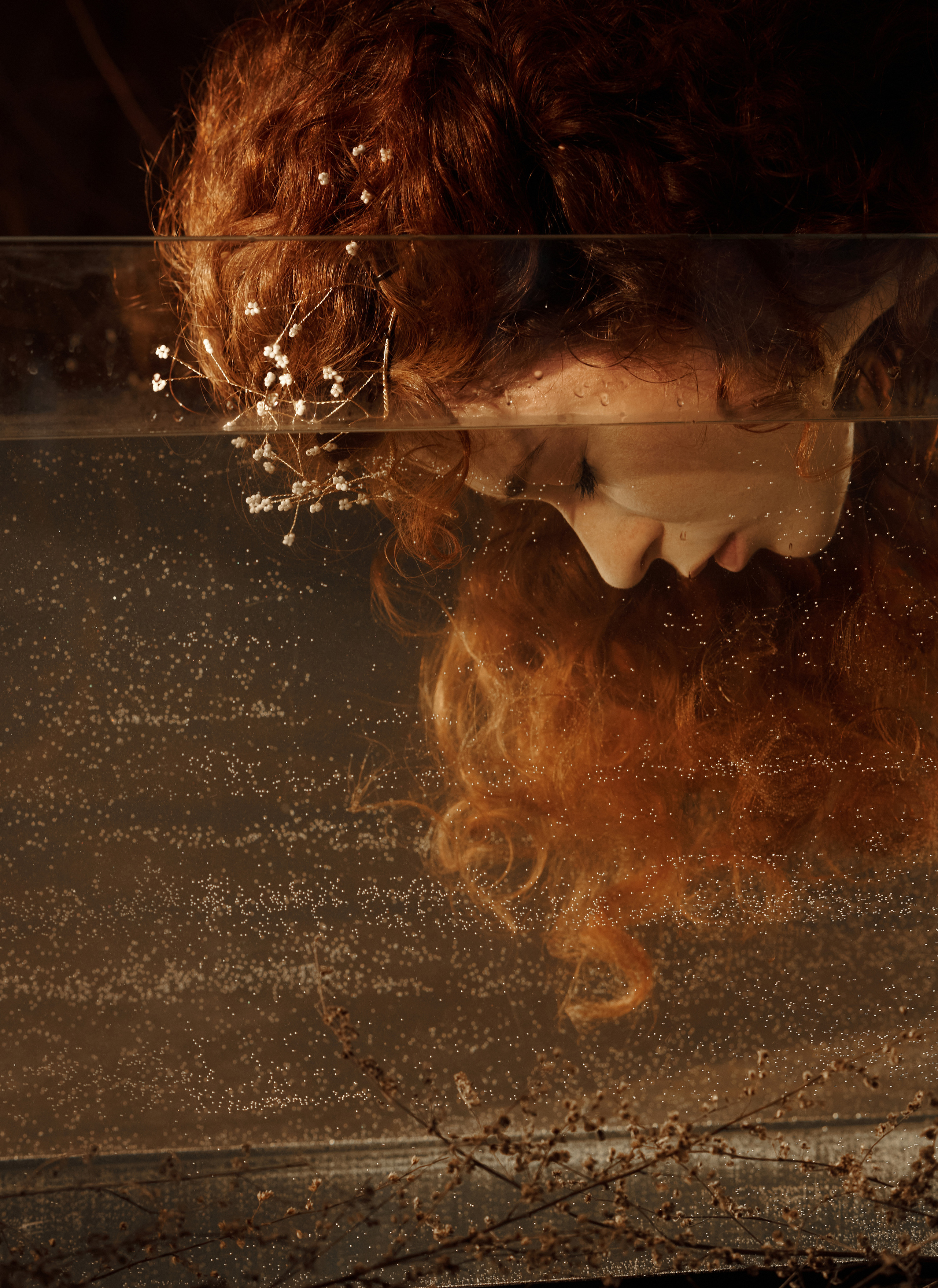 Эльф. Главная