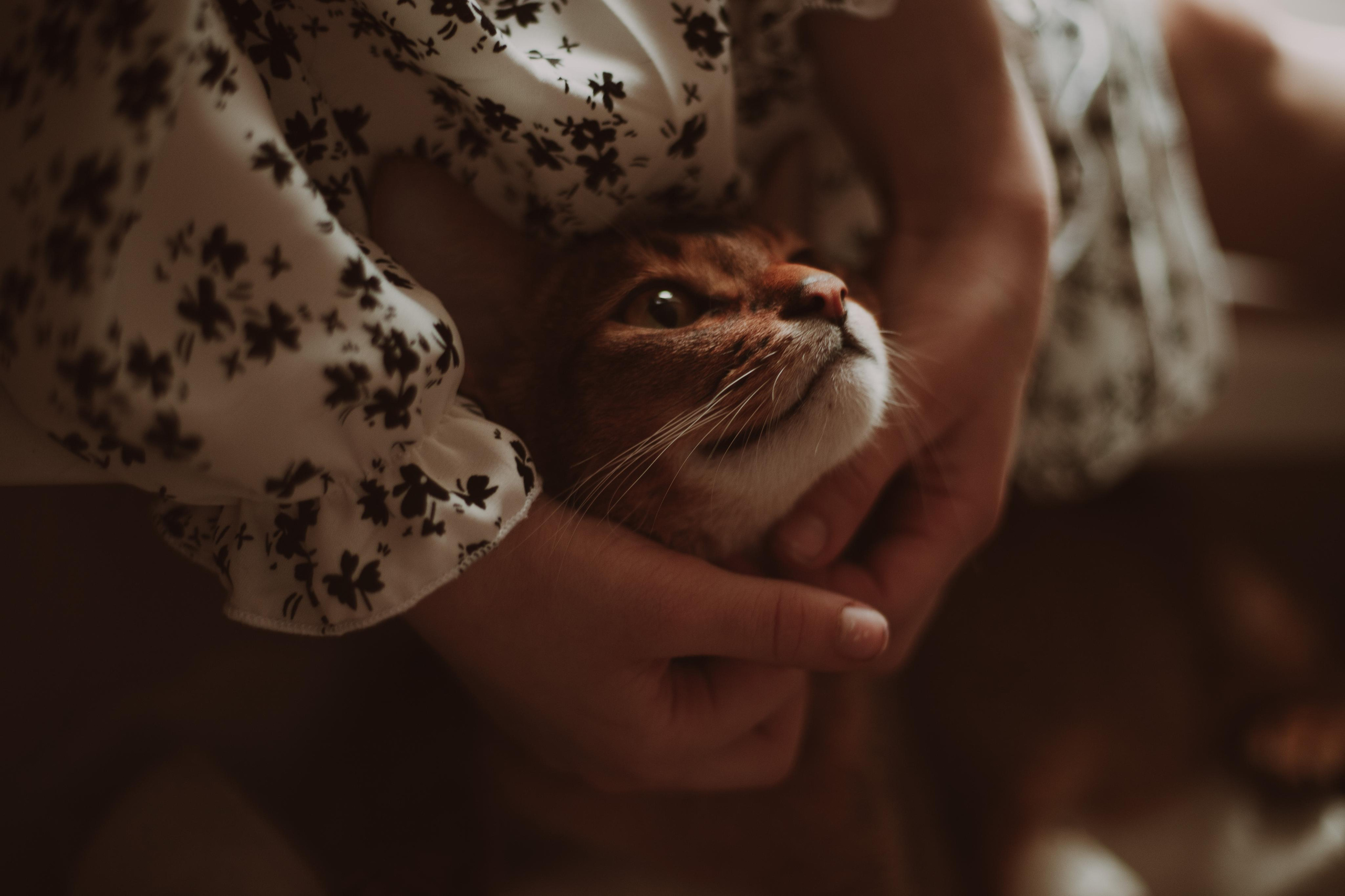 Life story. Семейный и детский фотограф город Тында Дарья