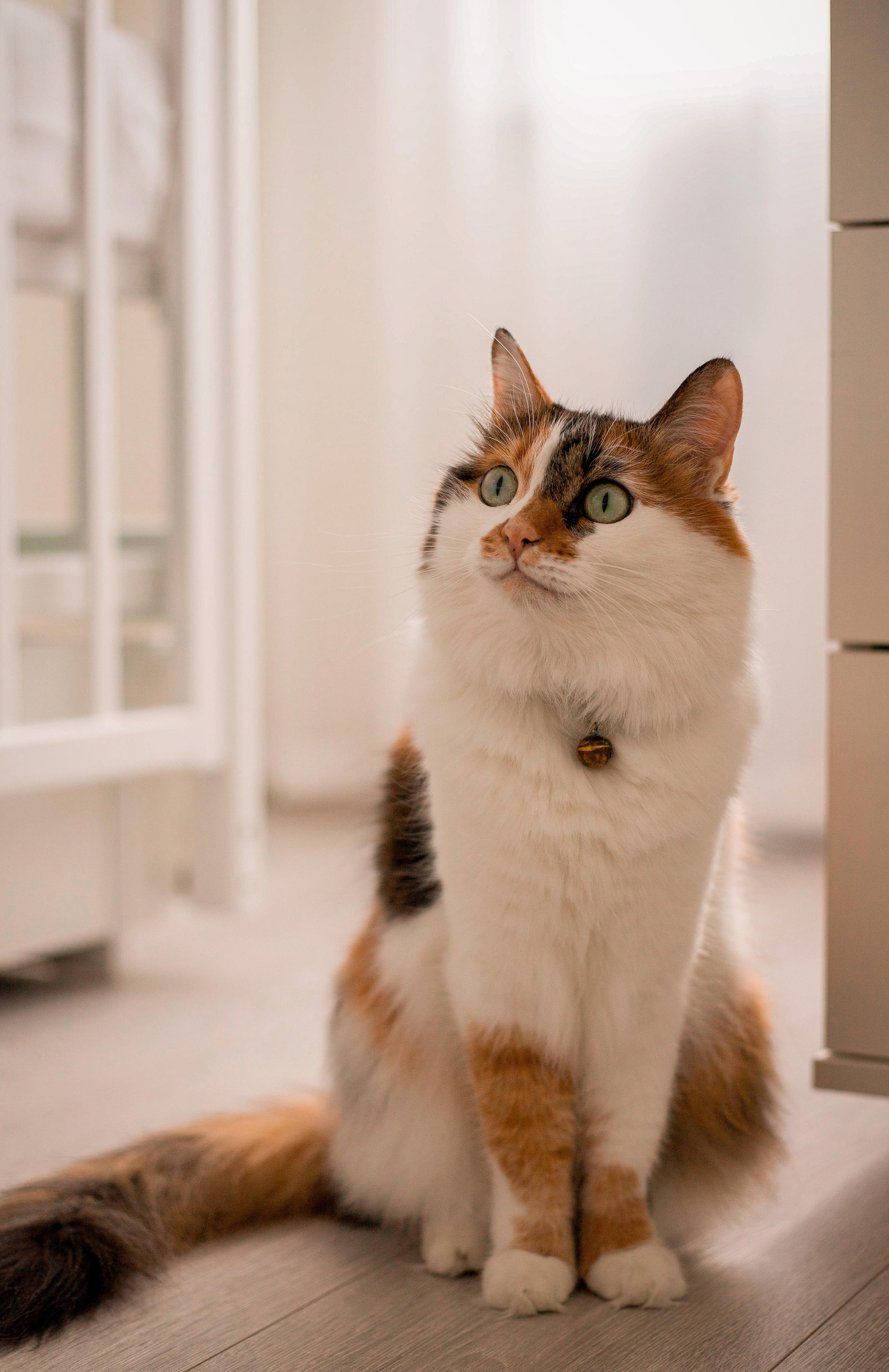 Аркаша, Даша, Ева и Радость. Семейный и детский фотограф город Тында Дарья