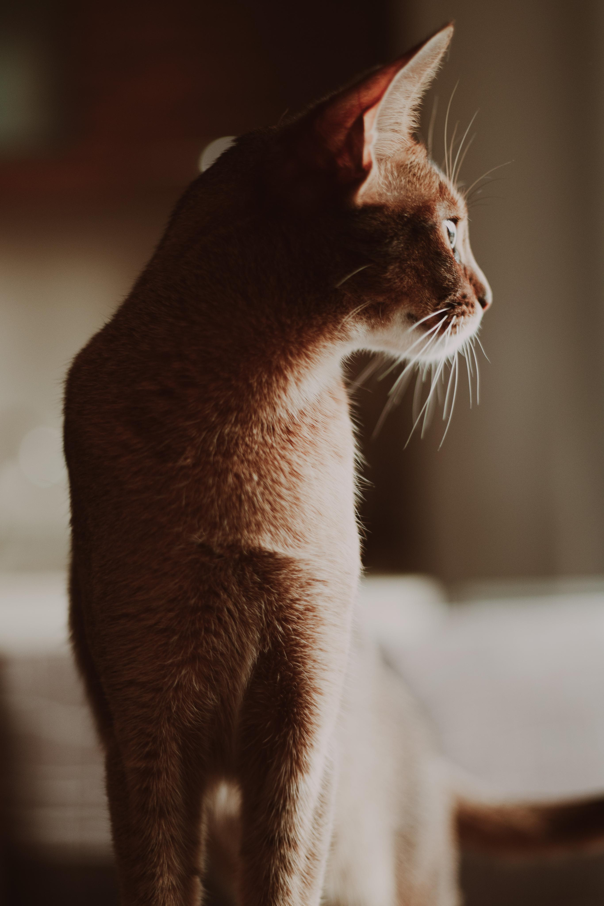 Life story. Семейный и детский фотограф город Тында Дарья