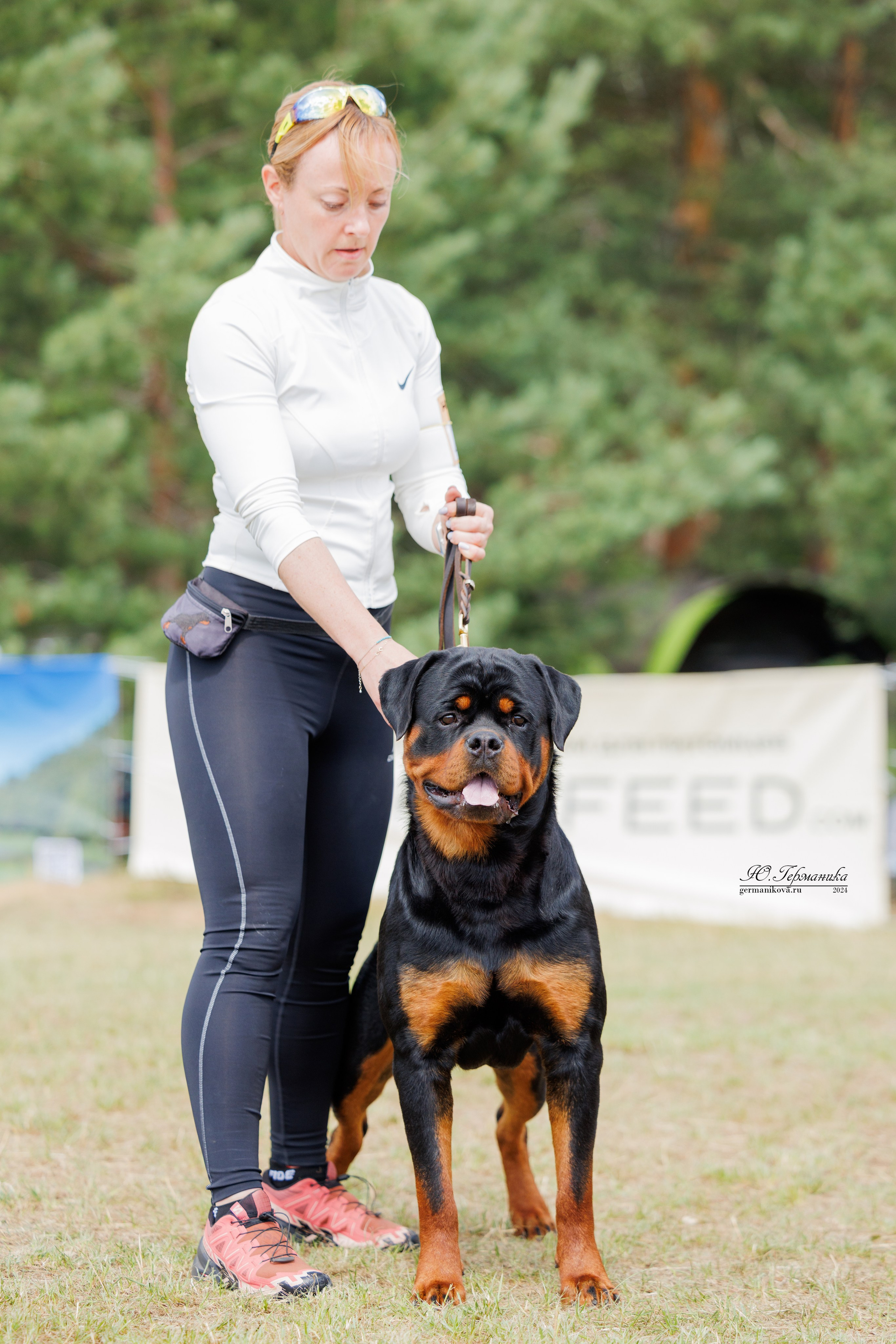 ПК и КЧК ротвейлеры Тверь 6-7.07.2024. Фотограф-анималист Юлия Германика