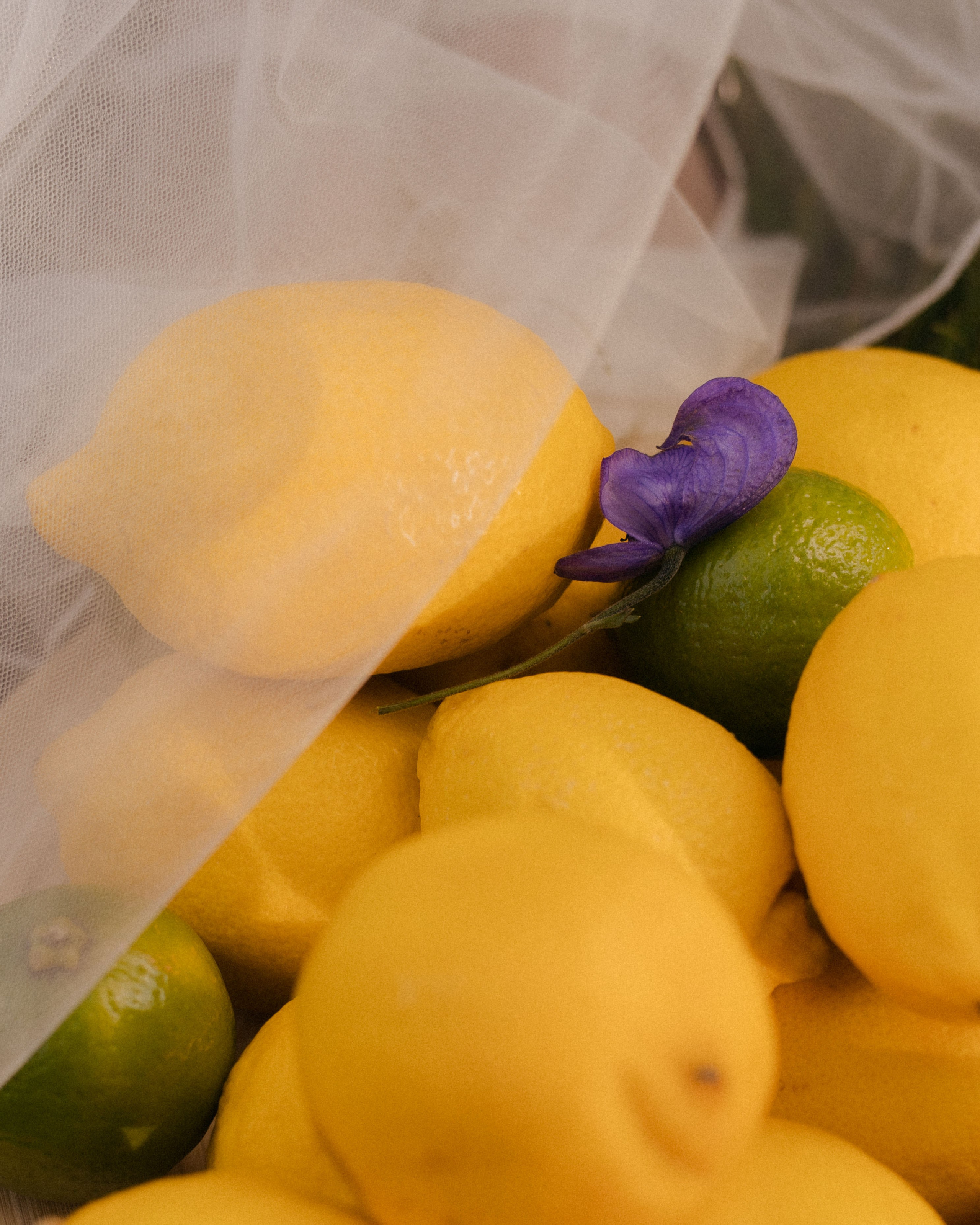 Евгения. Катерина Аникеева | Фотограф | Екатеринбург