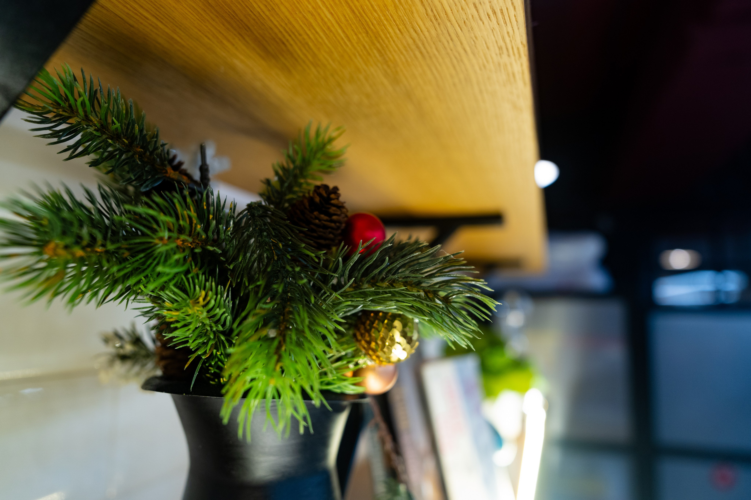 Новиков Скул — Сладкий зал. Фотограф Никита Комаров