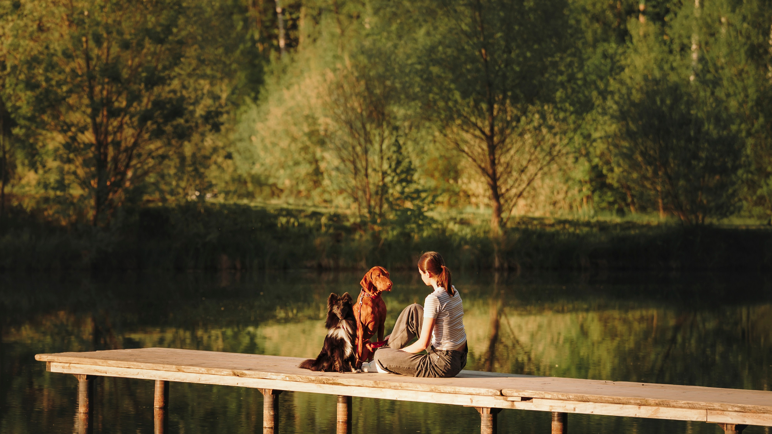 Юля, Никс и Чайф. Семейный фотограф анималист Ананьева Мария — Москва