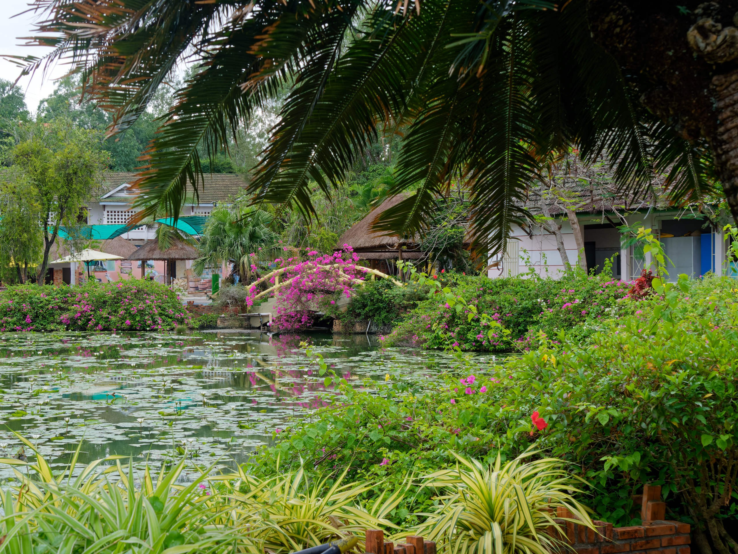 Нячанг 2025 (4). Избранные фотографии