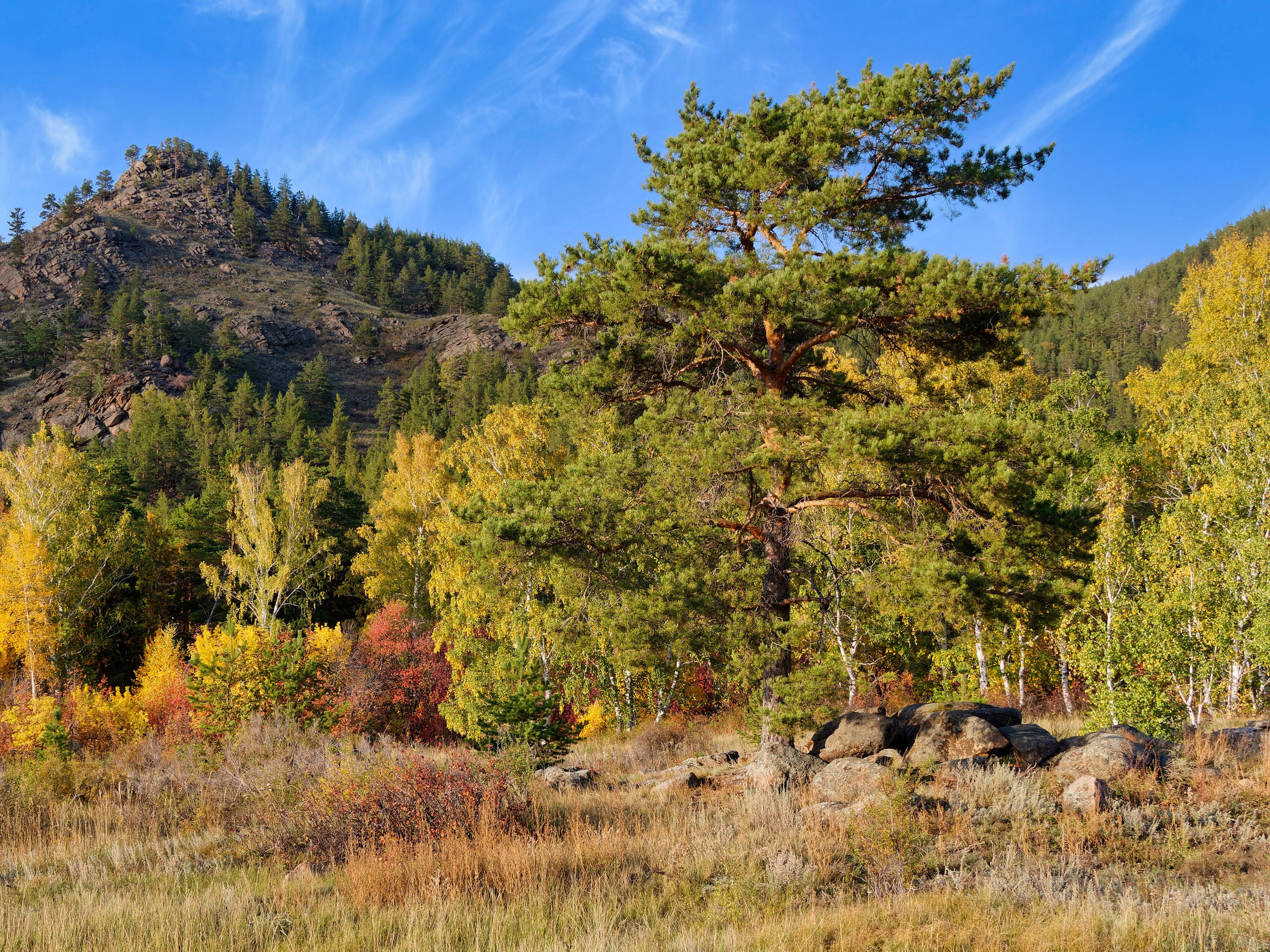 Боровое 2022 (из архива). Избранные фотографии