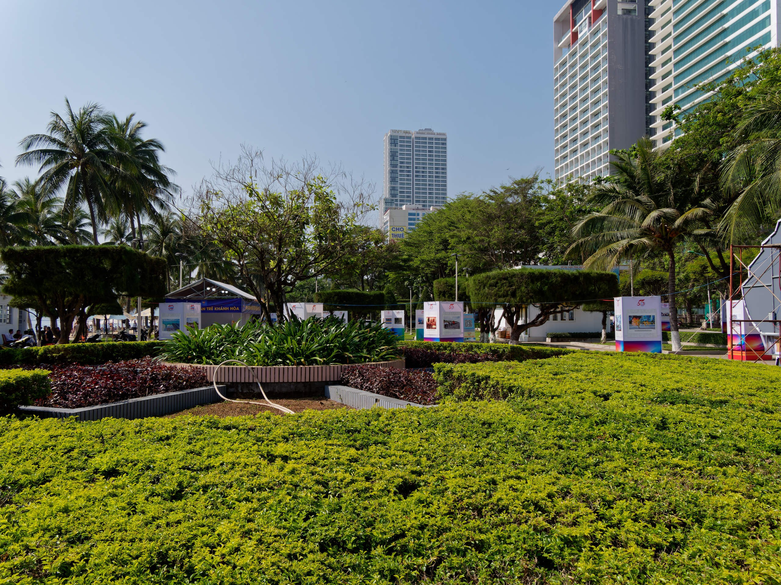 Нячанг 2025 (1). Избранные фотографии