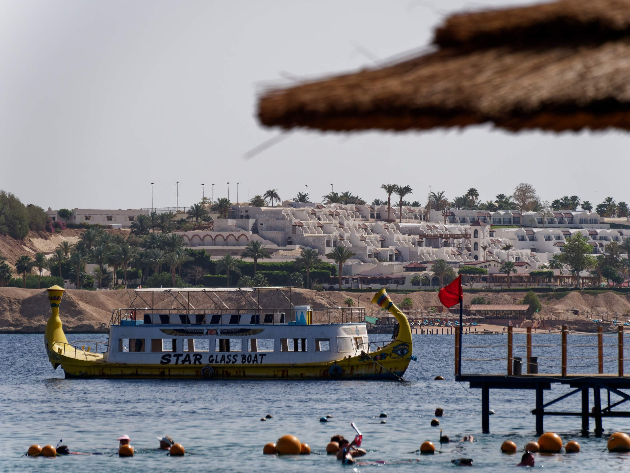 Шарм-эль-Шейх 2024. Избранные фотографии