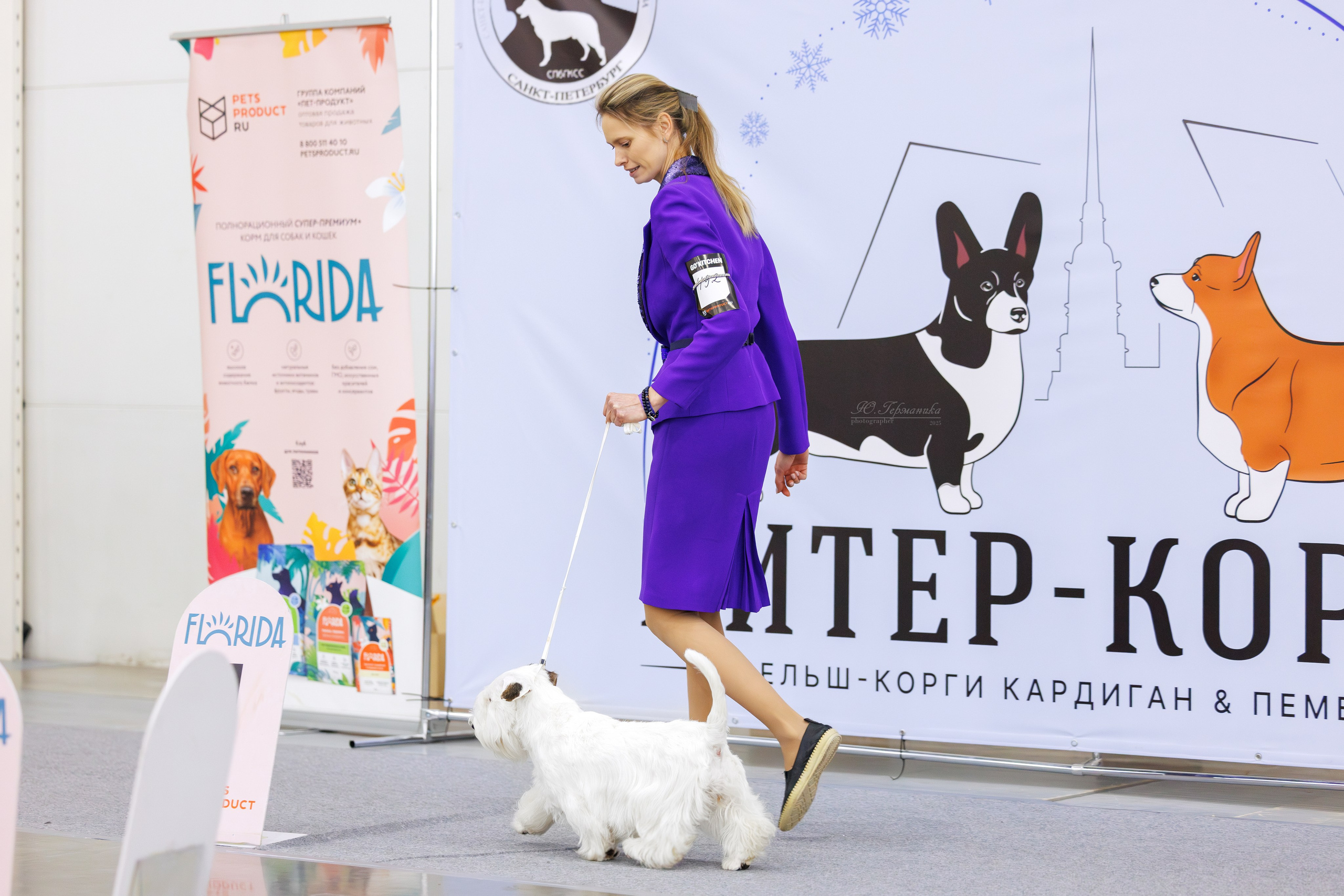 Питер 12-13.12.2025. Фотограф-анималист Юлия Германика