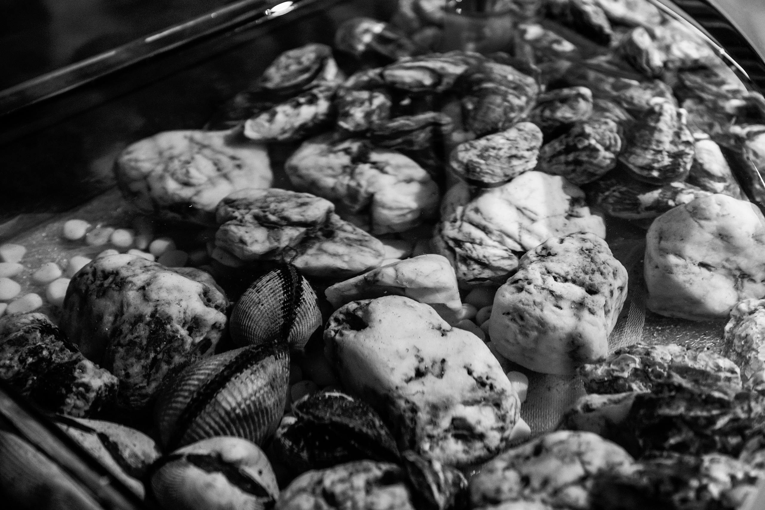 Усадьба Третьякова/ ресторан Аврора. Фотограф, визажист. Москва