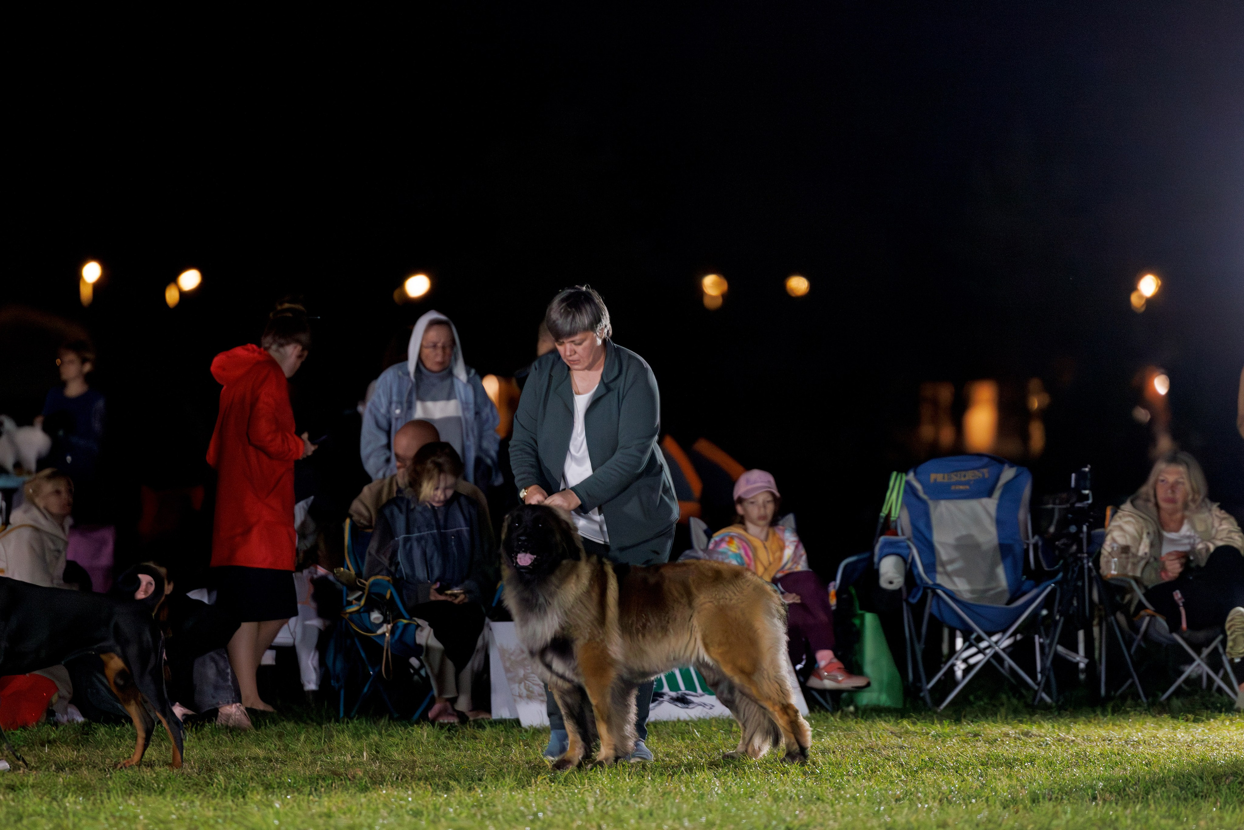 Переславль 5-7.08.2025. Фотограф-анималист Юлия Германика