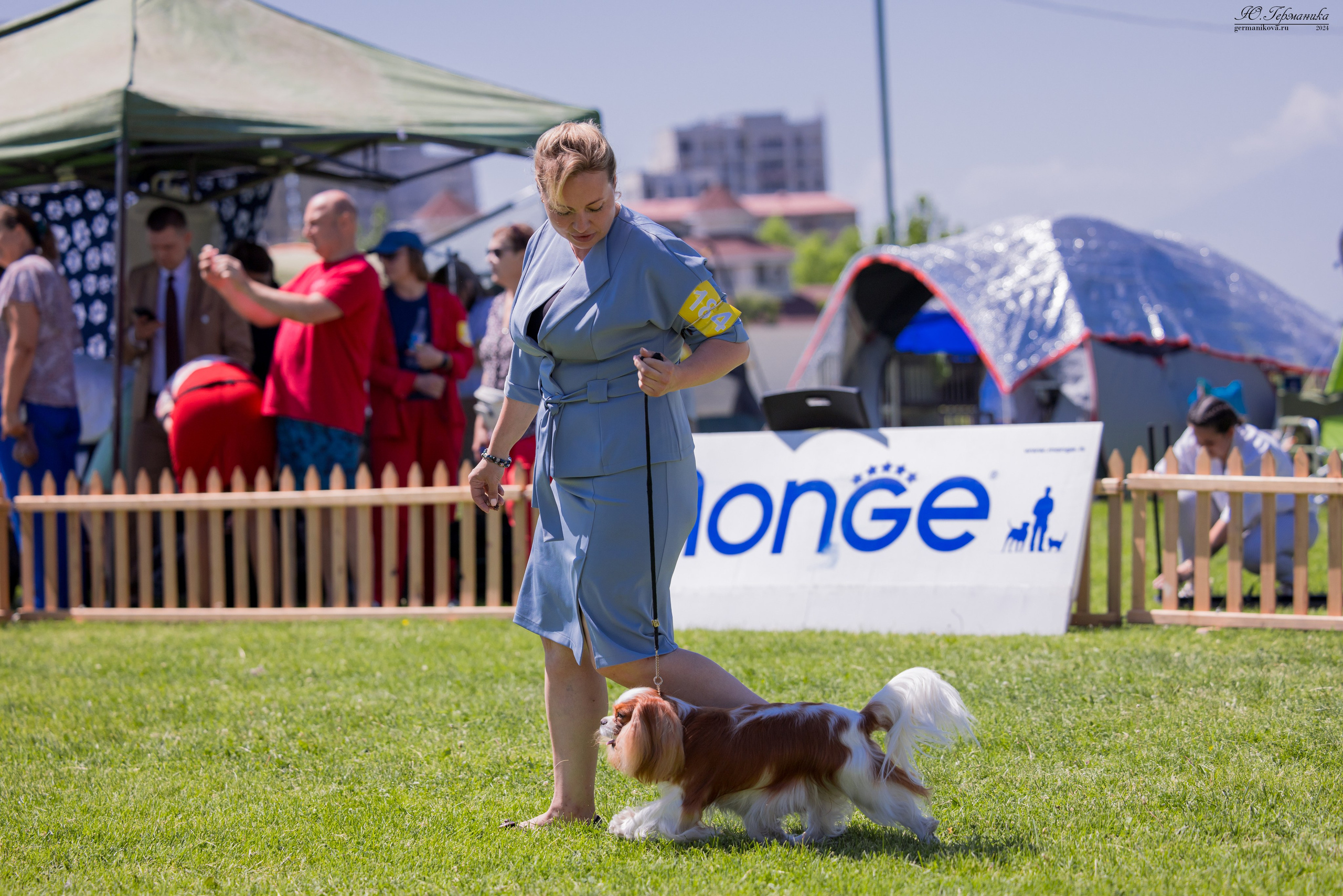 Ереван 3-5.06.2024. Фотограф-анималист Юлия Германика