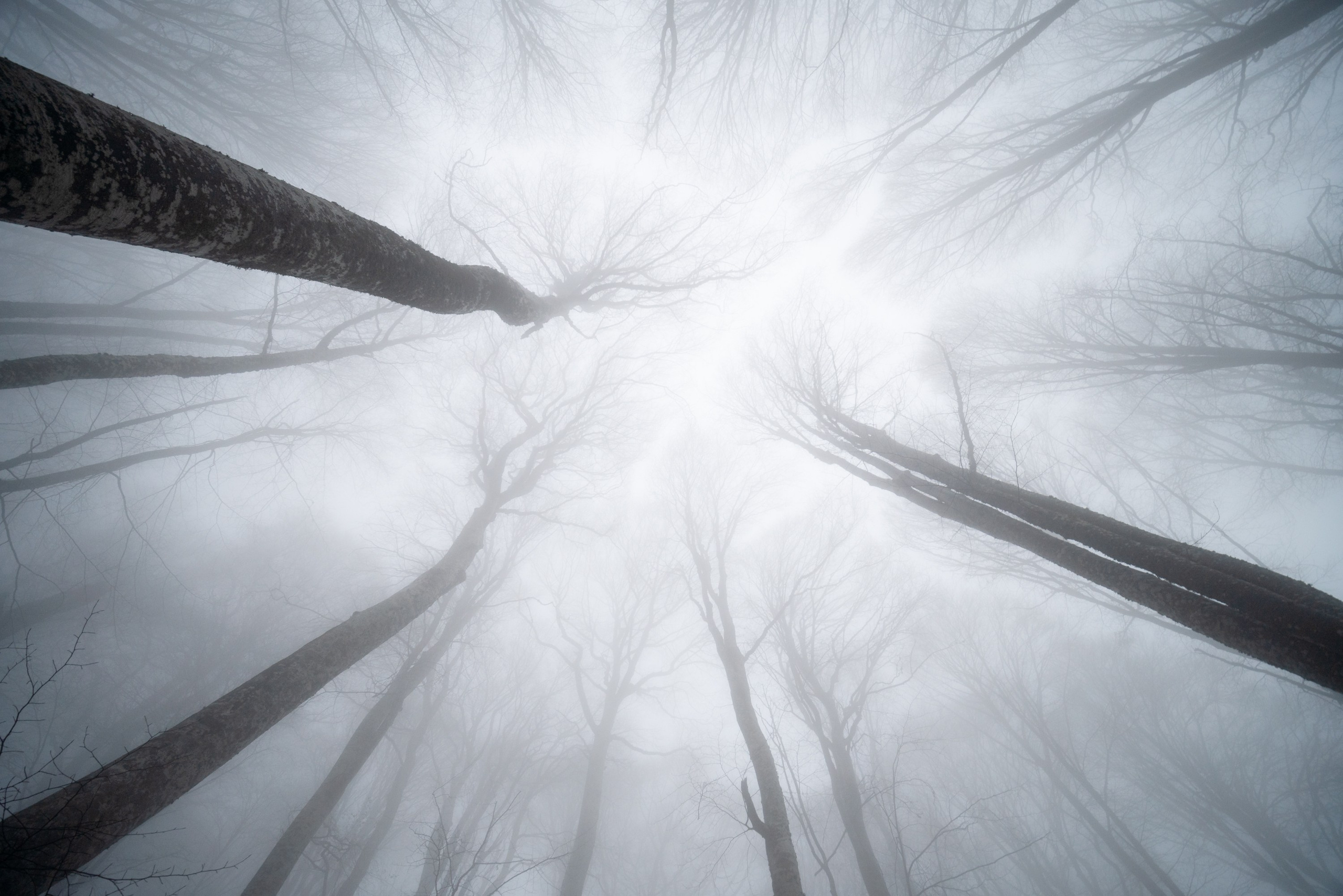 Пейзаж от Ольги Пановой. Интерьерный и архитектурный фотограф в Москве Панова Ольга