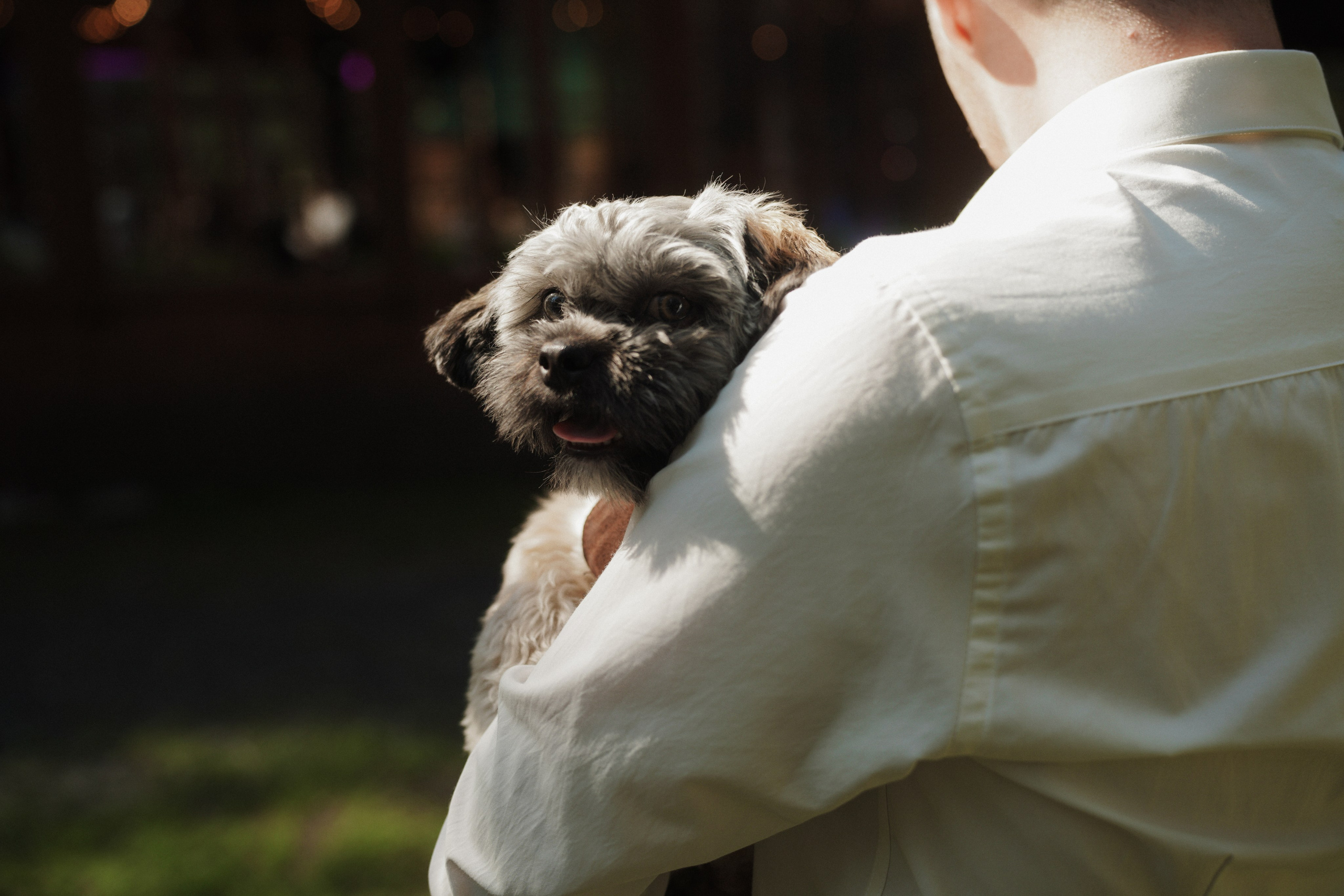 Влад и Даша. Организатор мероприятий в Абакане I Ольга Петухова
