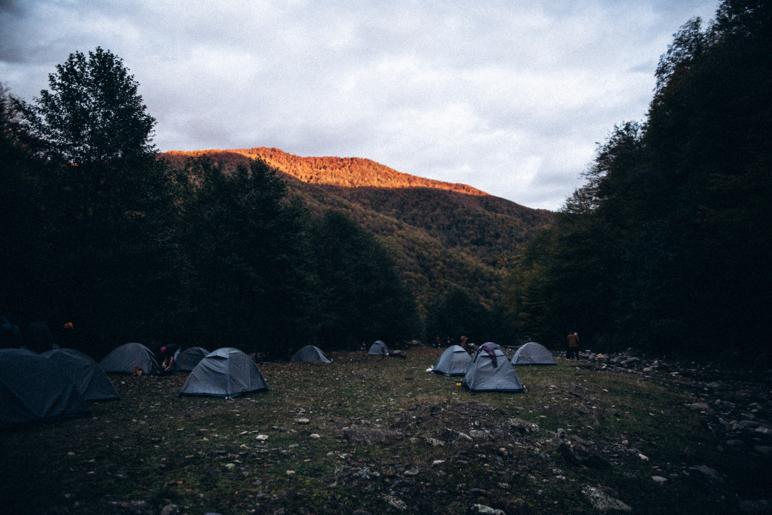 Конный поход 🇬🇪 «PVD Club». Anita_photo