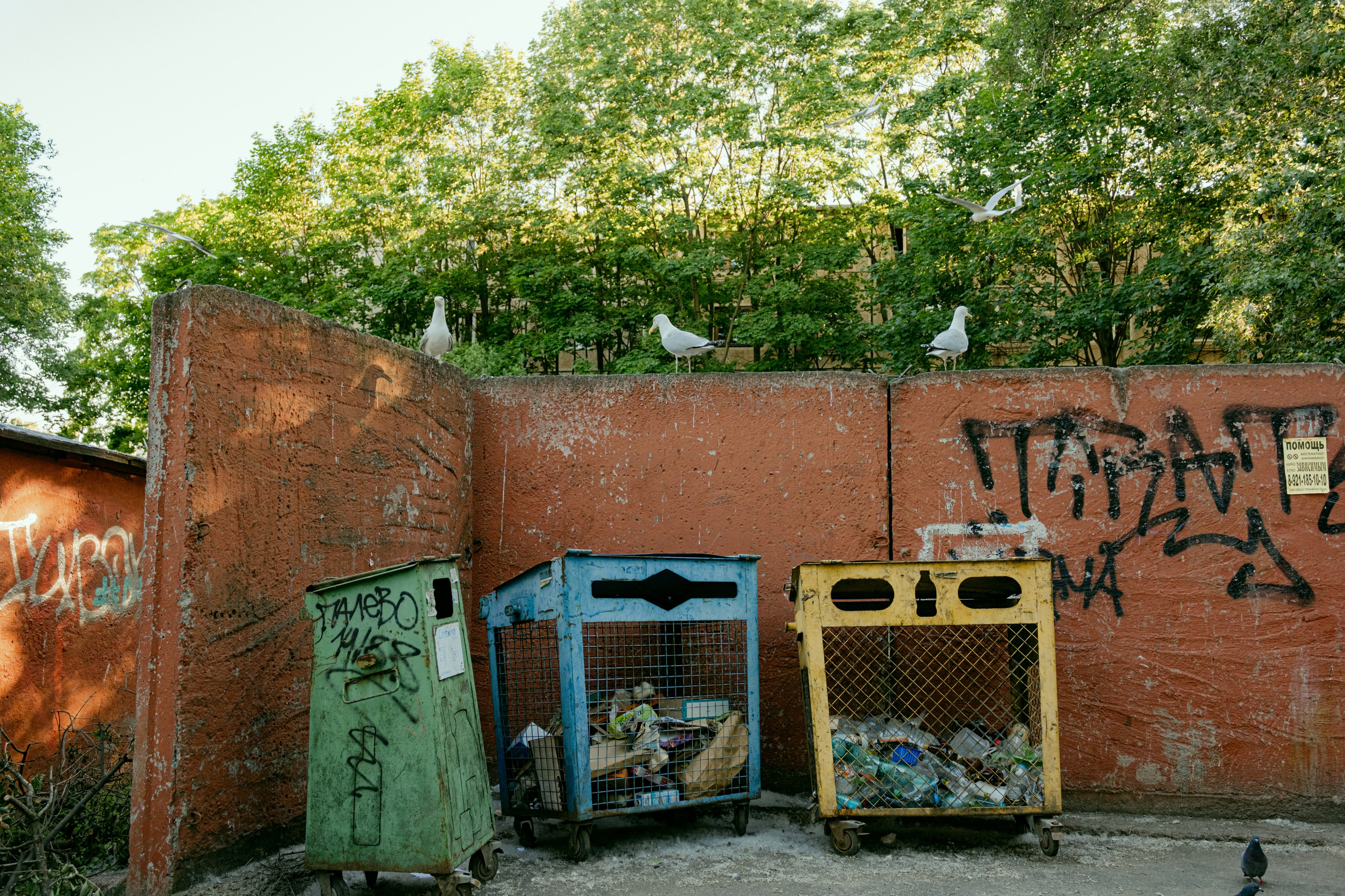 Петербург. Екатерина Лапина фотографирует