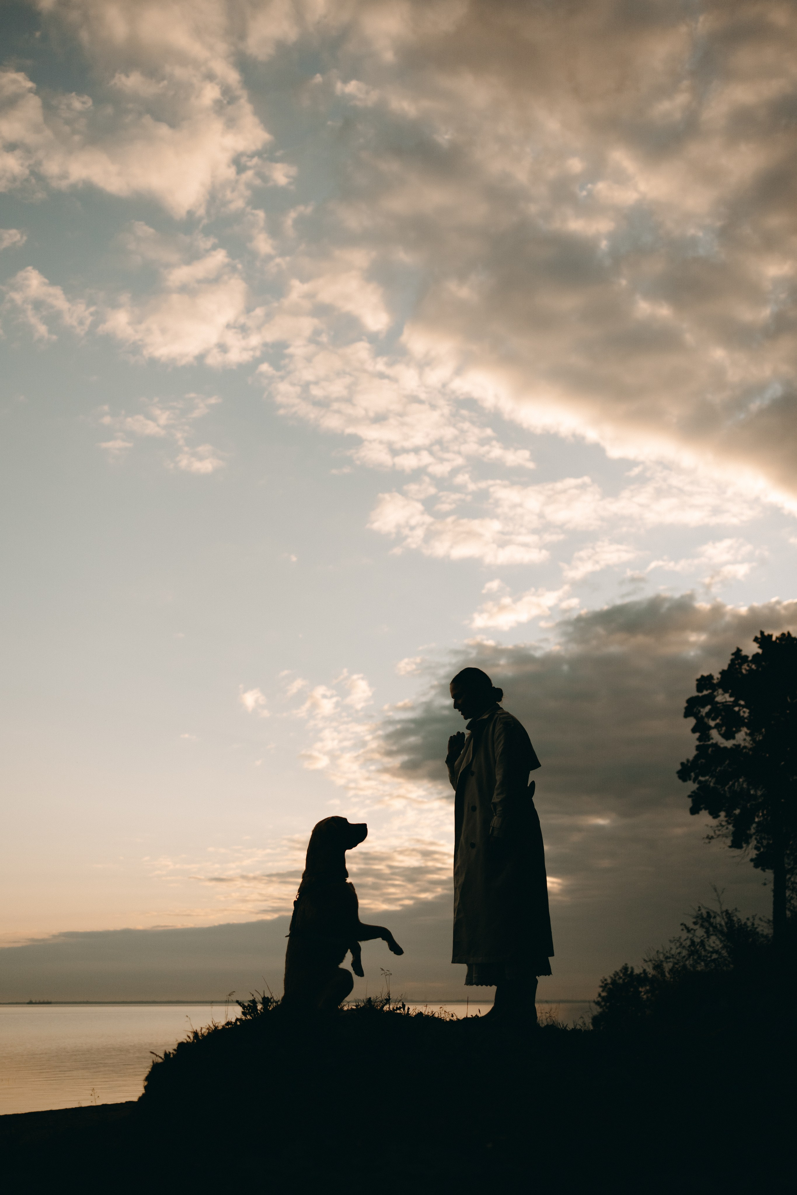 Наташа и Шани. Фотограф — Анималист | Санкт-Петербург