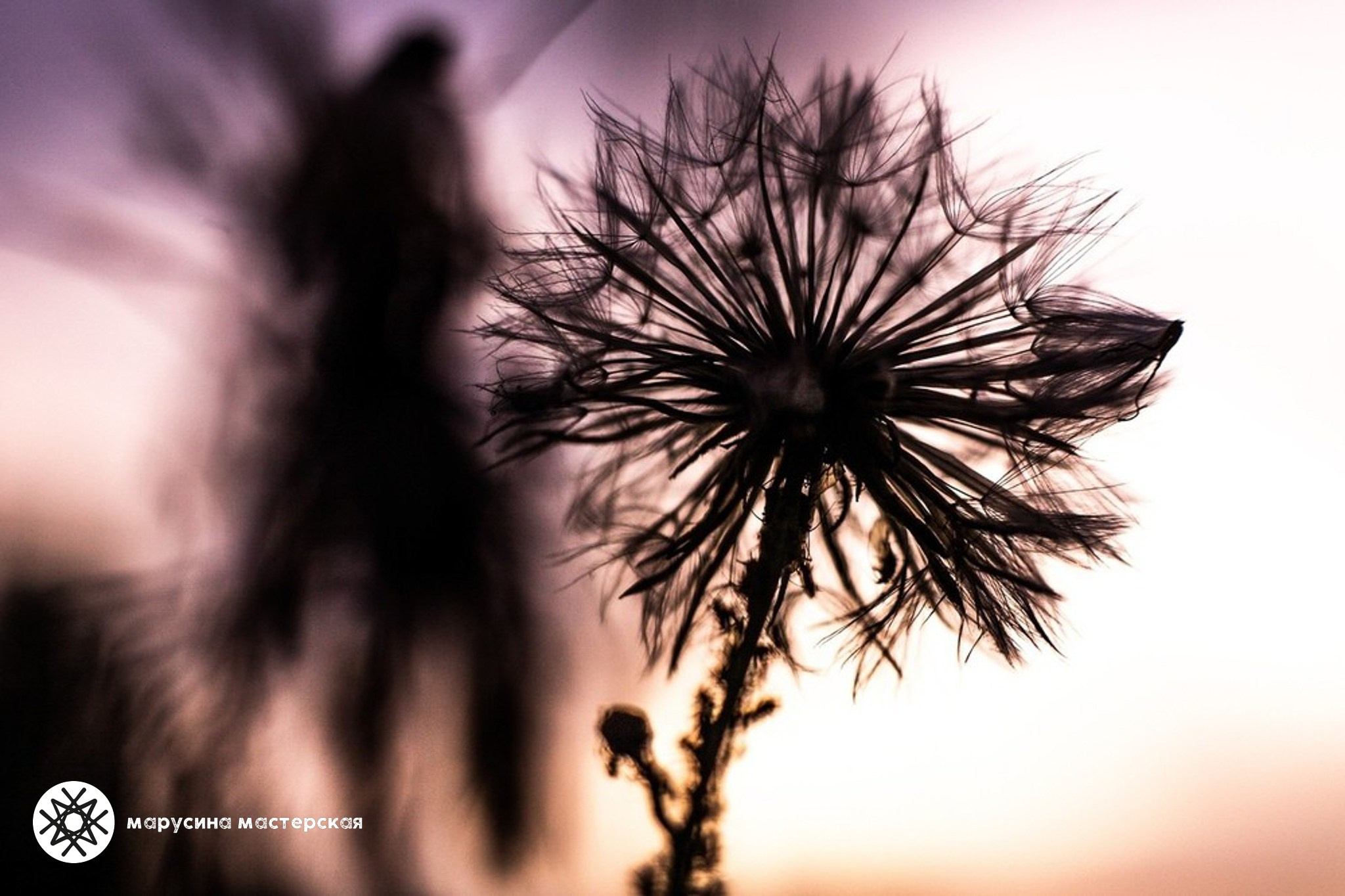 Художественная фотография участницы практикума по композиции
