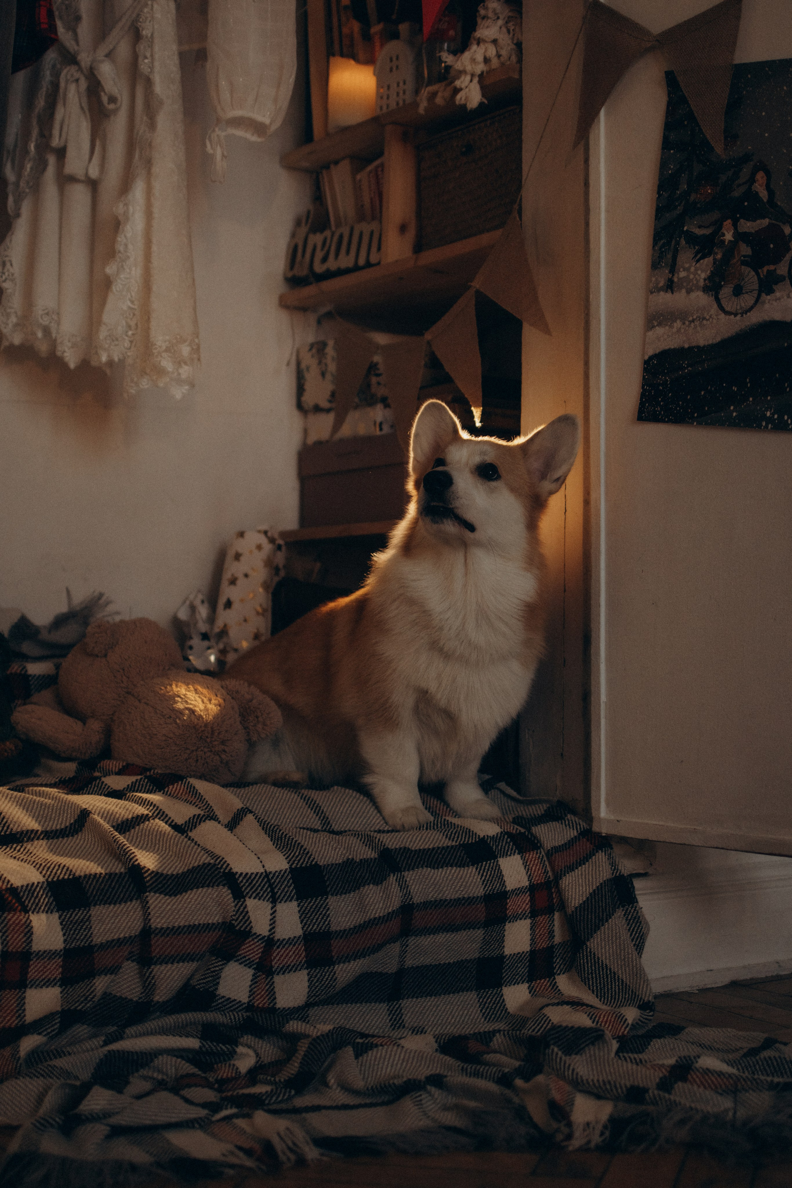 Ронни и Жанна. Фотораф — анималист Мария Шистка