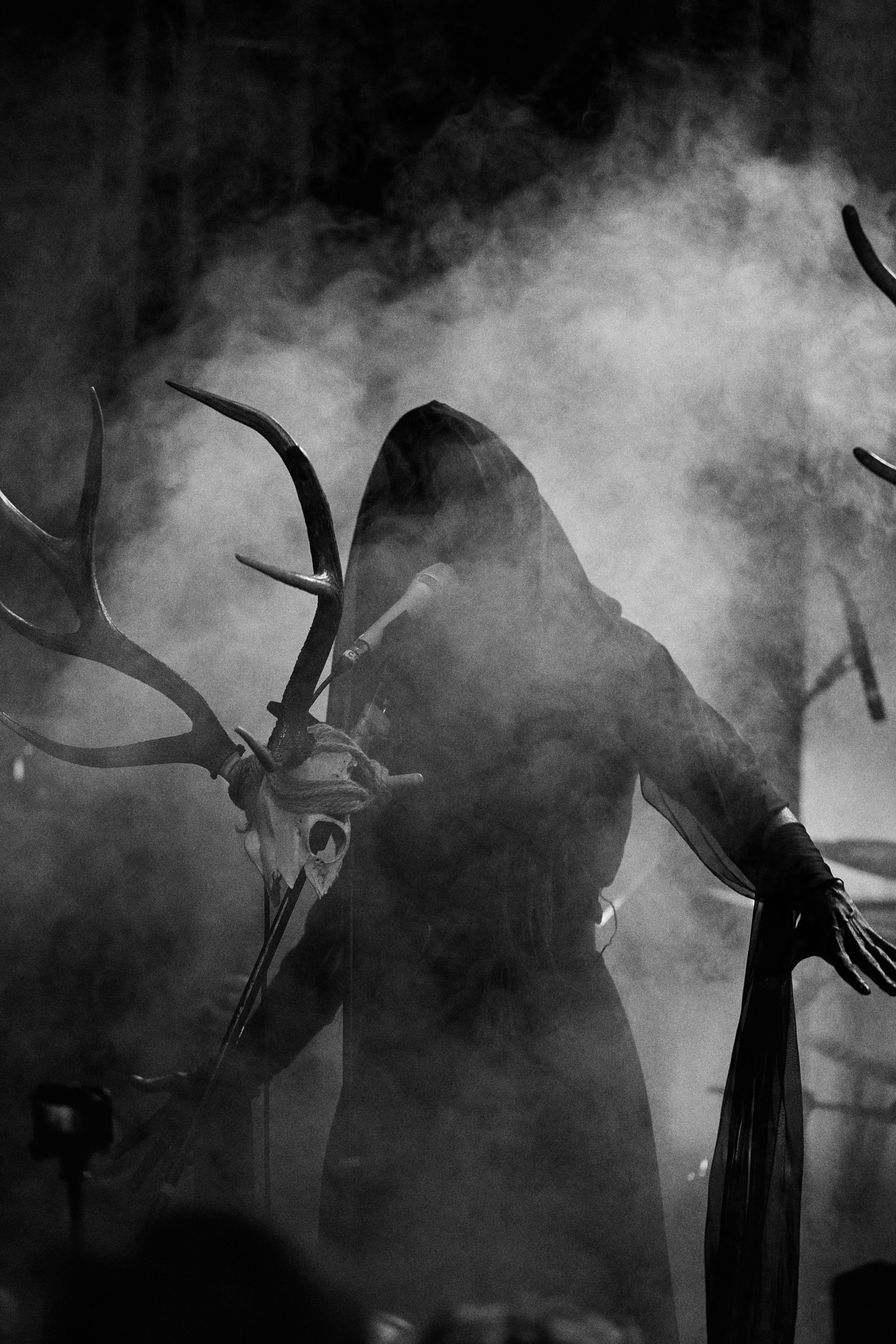 2023-12-24. Мещера