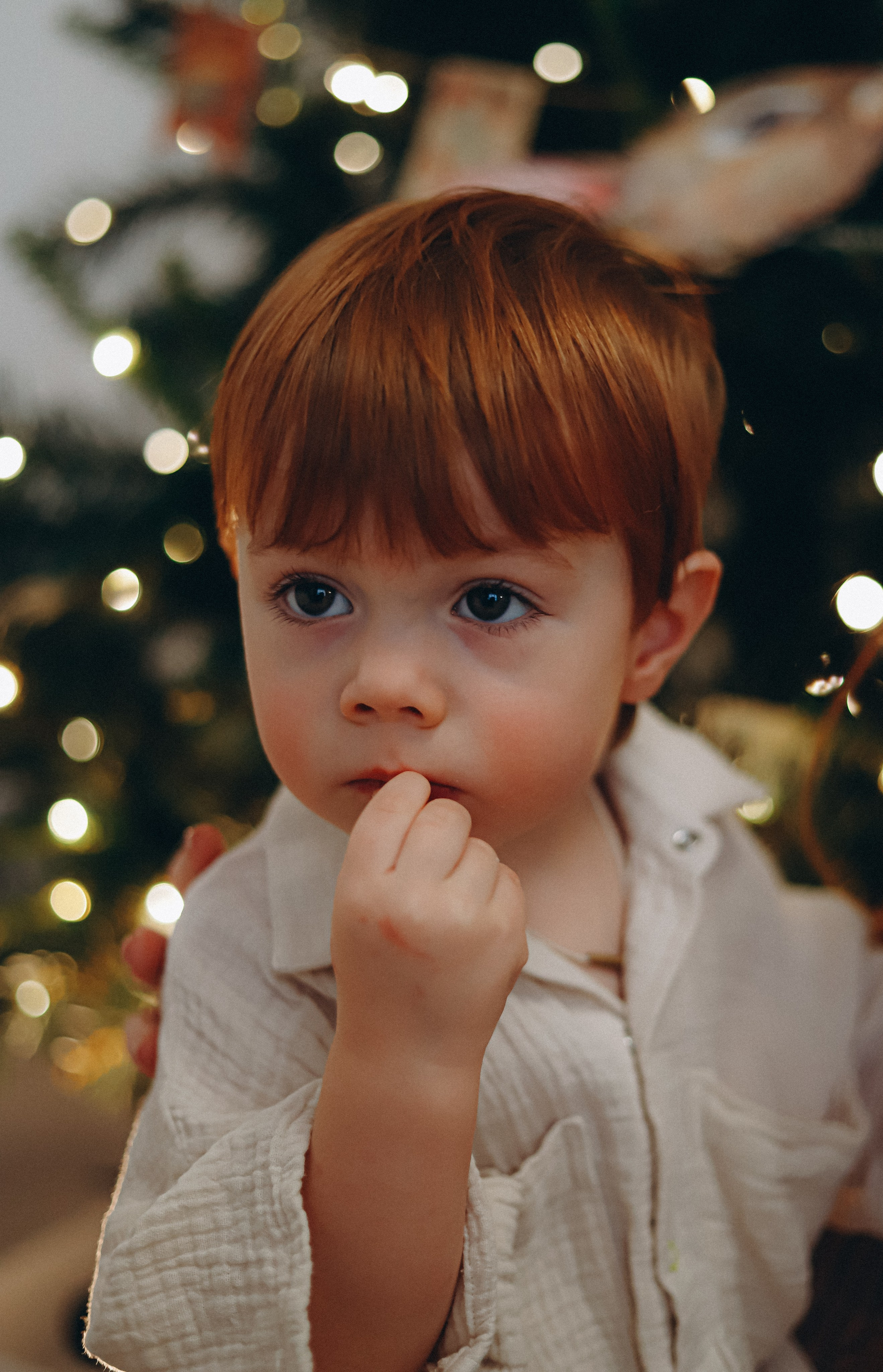 Домашняя новогодняя история. Алексей+Ксения+Дима. Услуги