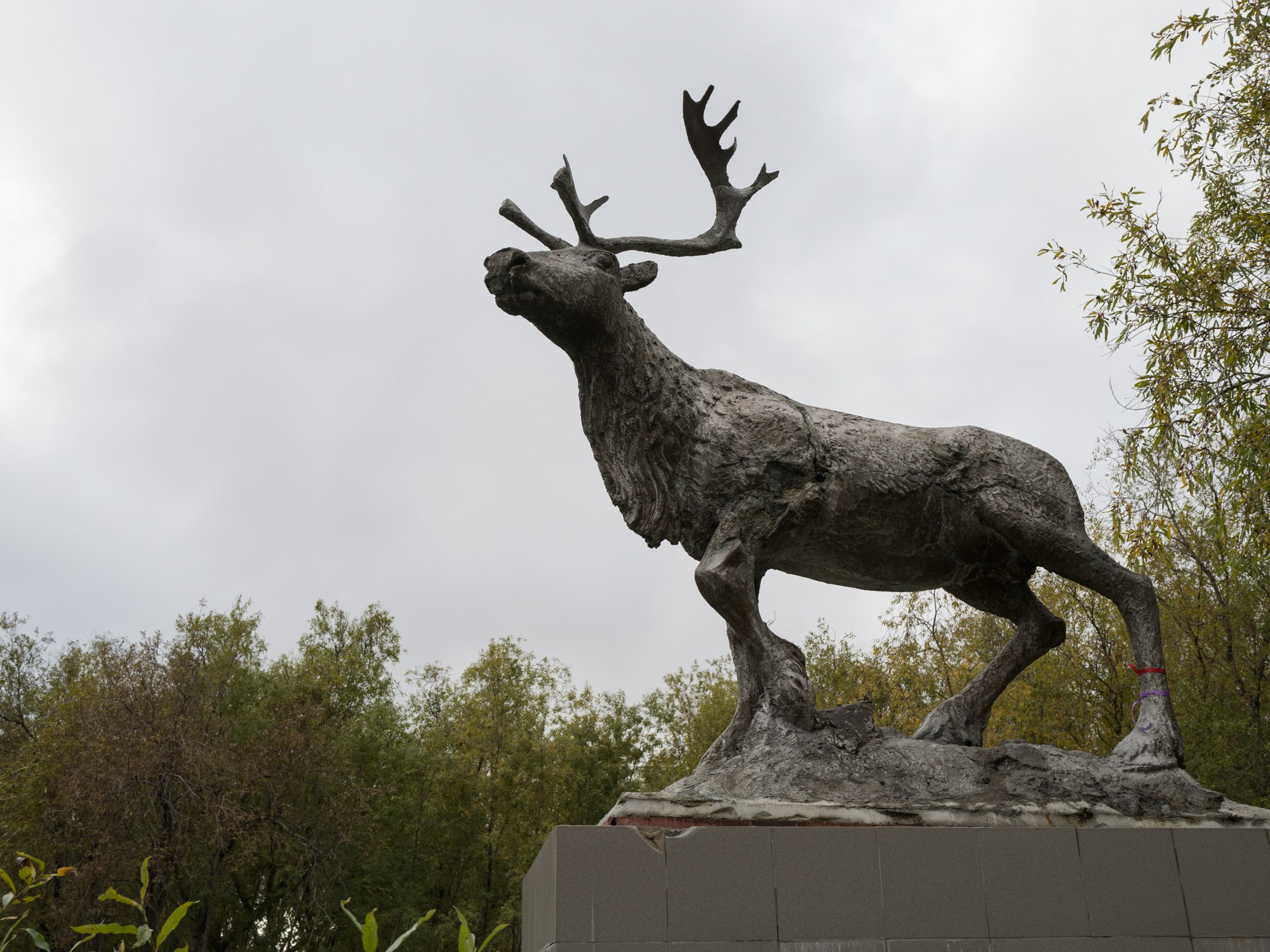 Проект про Воркуту. Татьяна Мищенко — фотохудожник. Междисциплинарный художник, основные медиумы: фотография, графика, коллаж. Портретный фотограф город Дубна