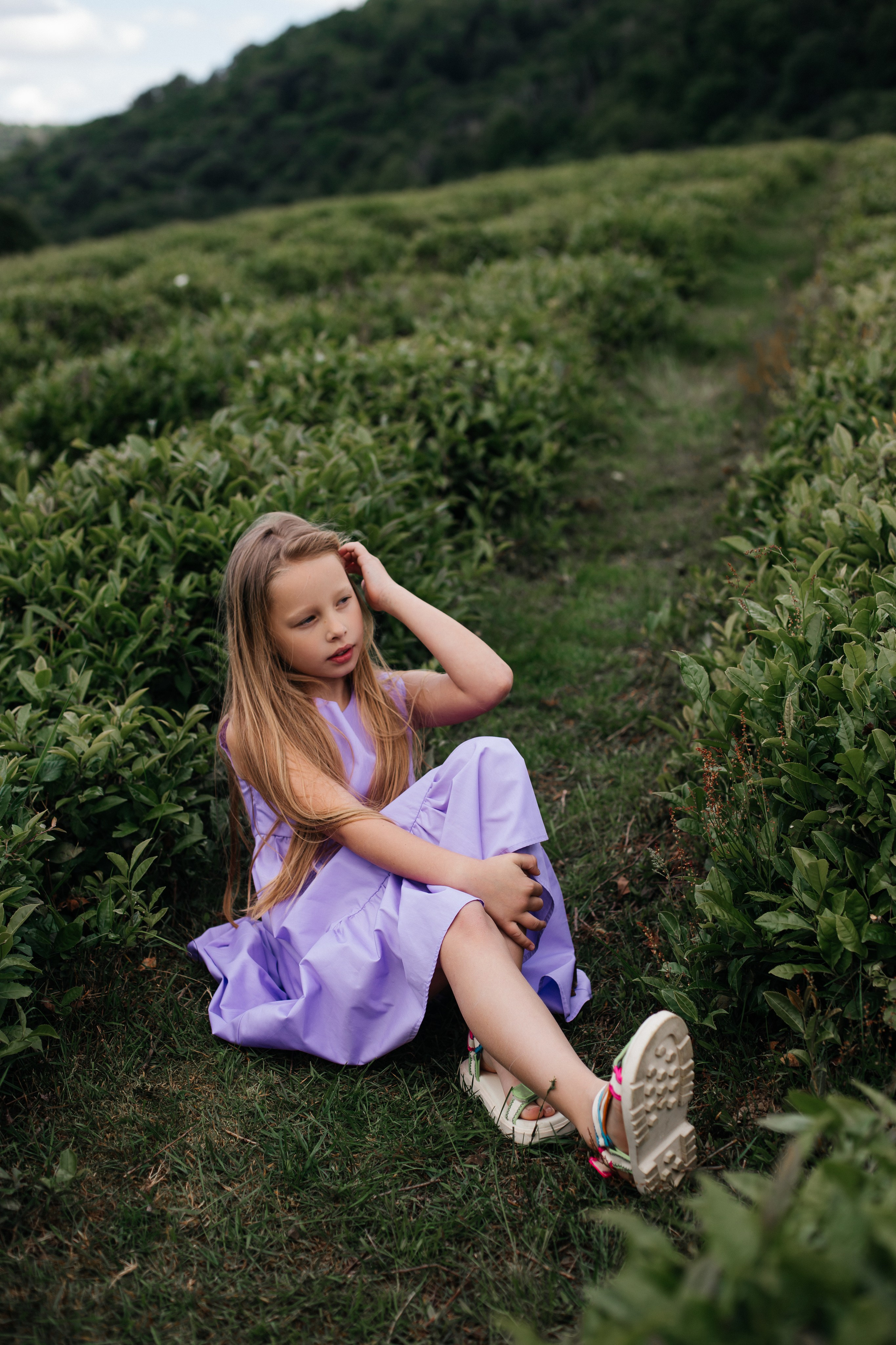 Tea plantation. Efimova Model Agency