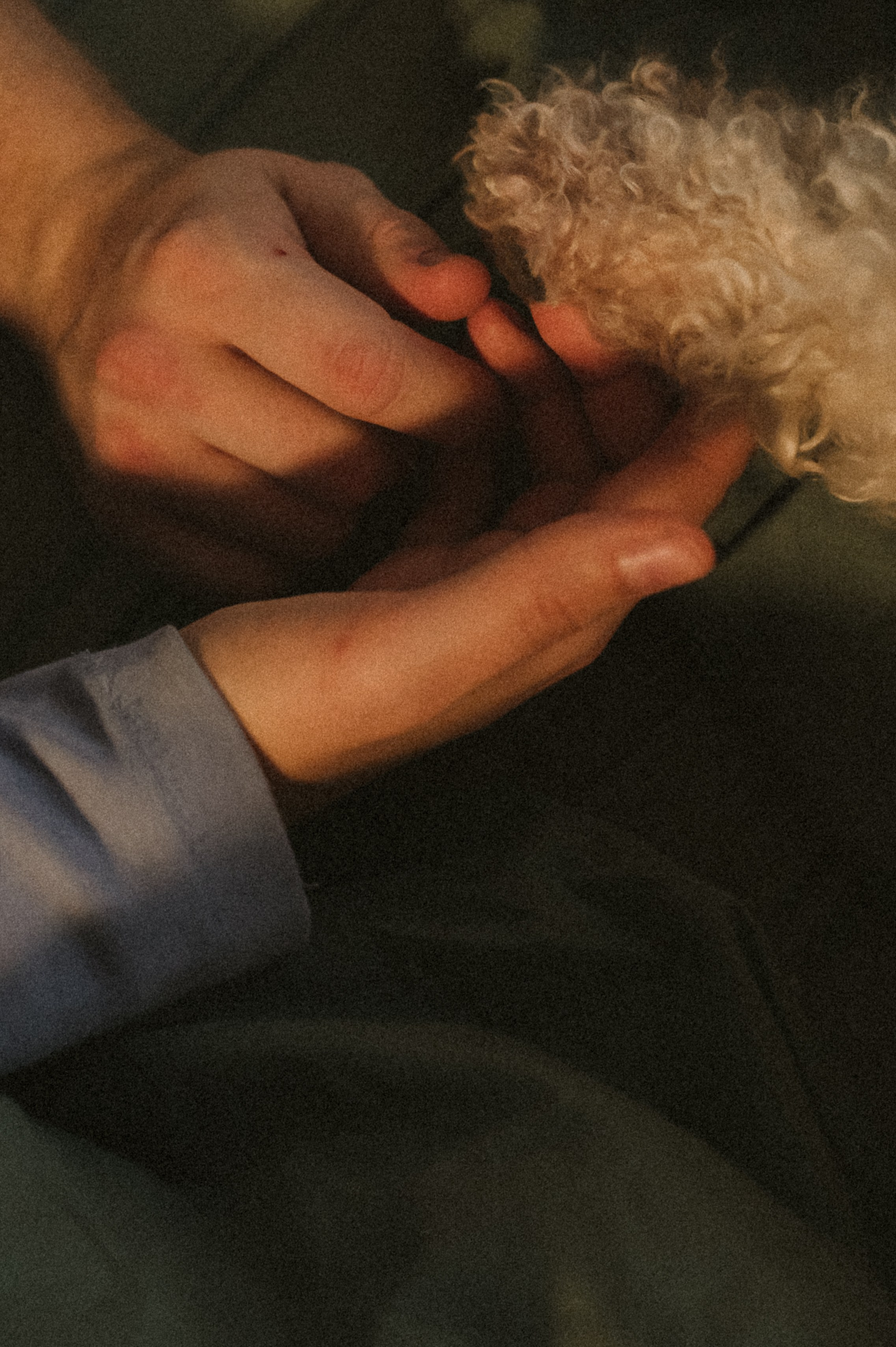 Ання и её кудрявая команда. Фотограф анималист в Москве Ольга Агушева