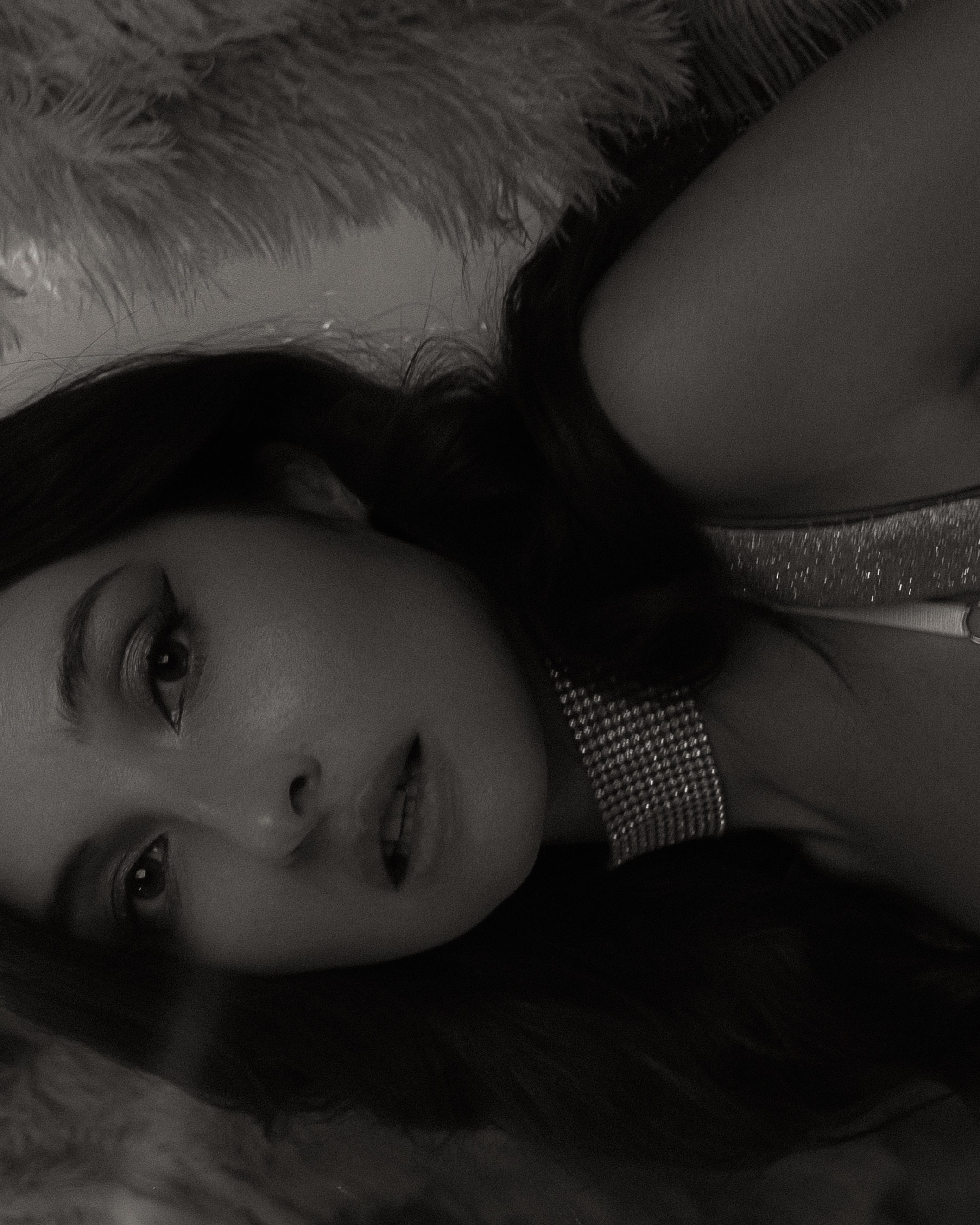 Камелия. DARYA.BELKINA