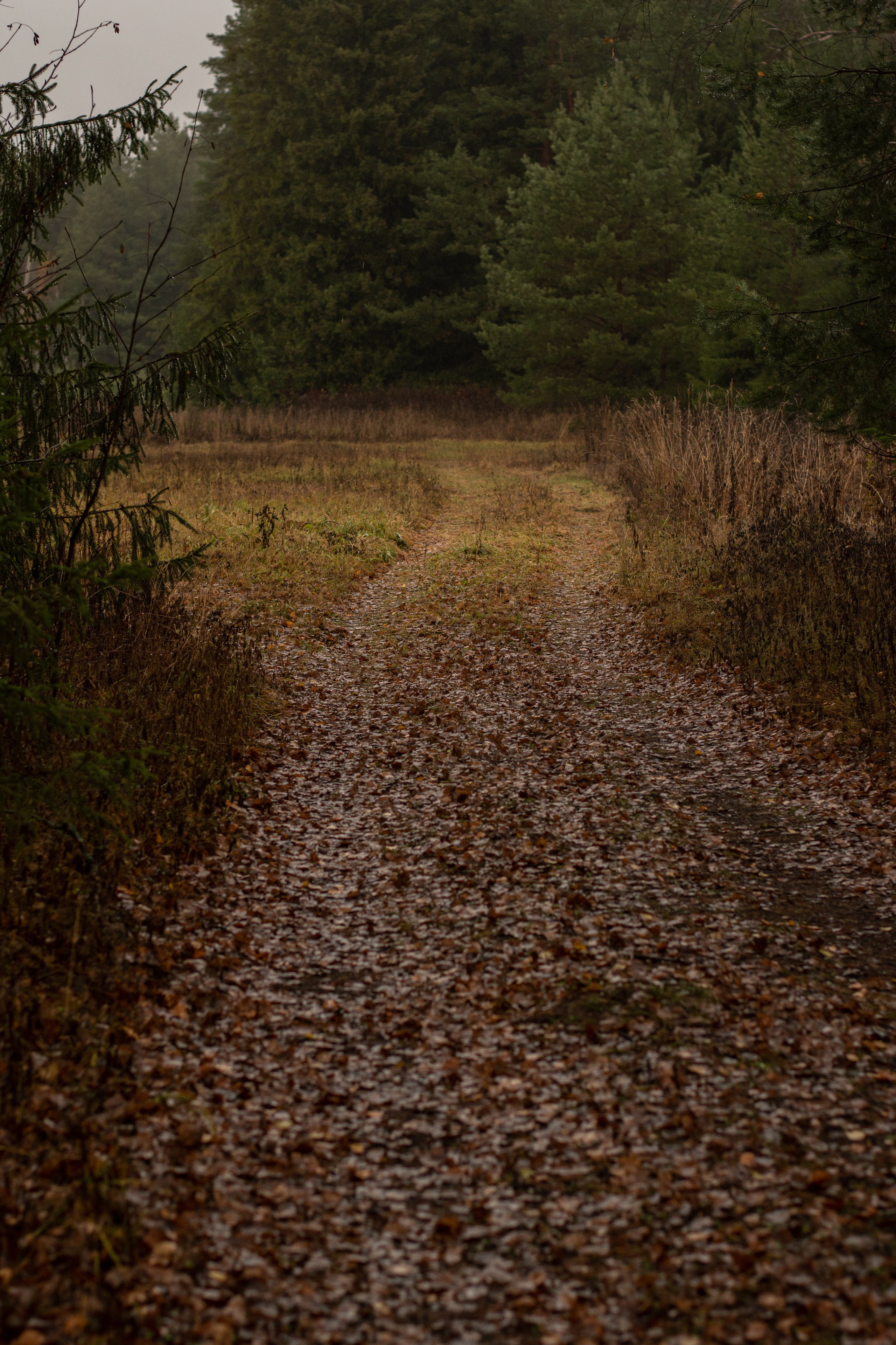Фотосессия мужского портрета. Фотограф в Кирове Инна Софронова
