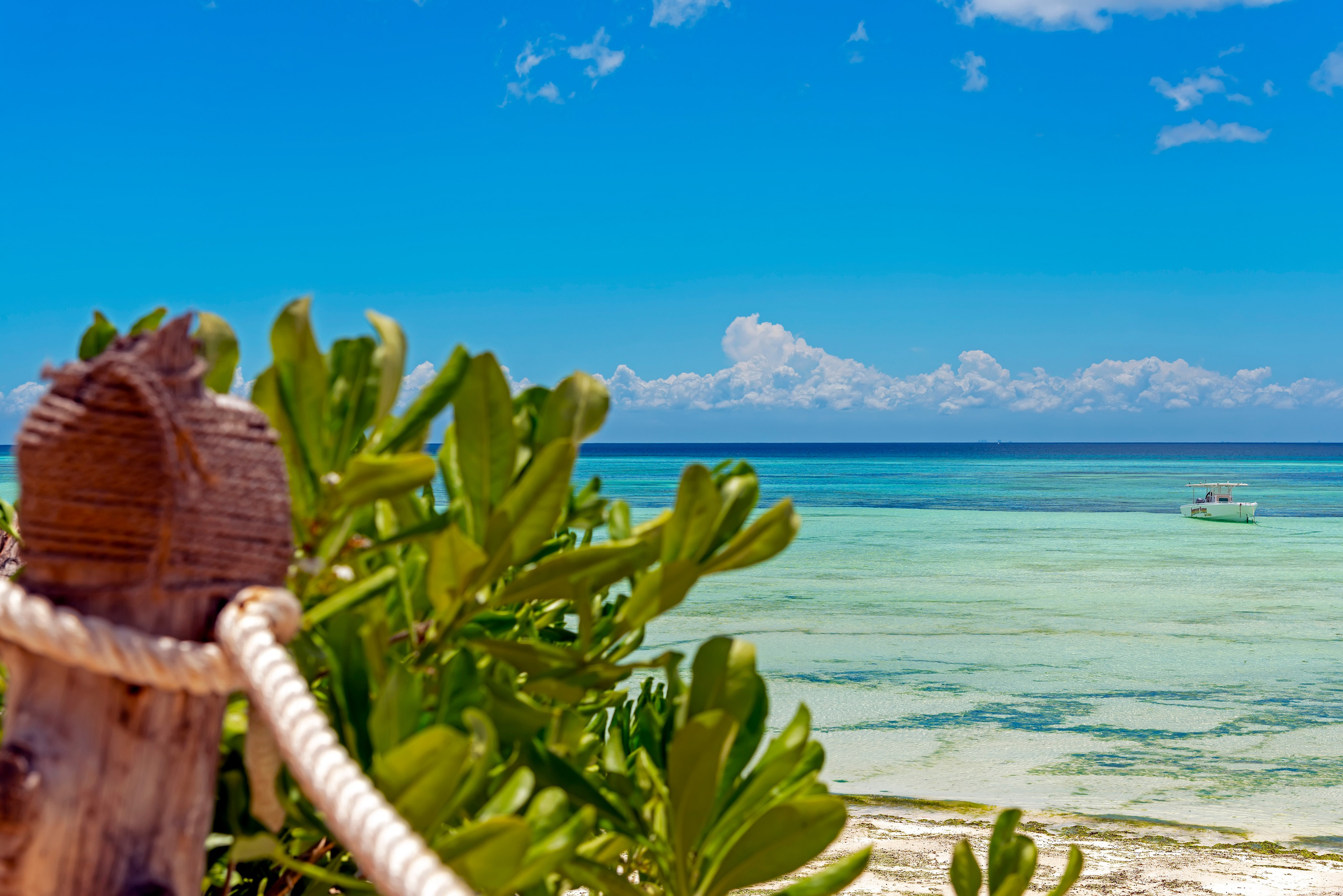 ПРИРОДА. От прошлого к будущему авиации через фотографию