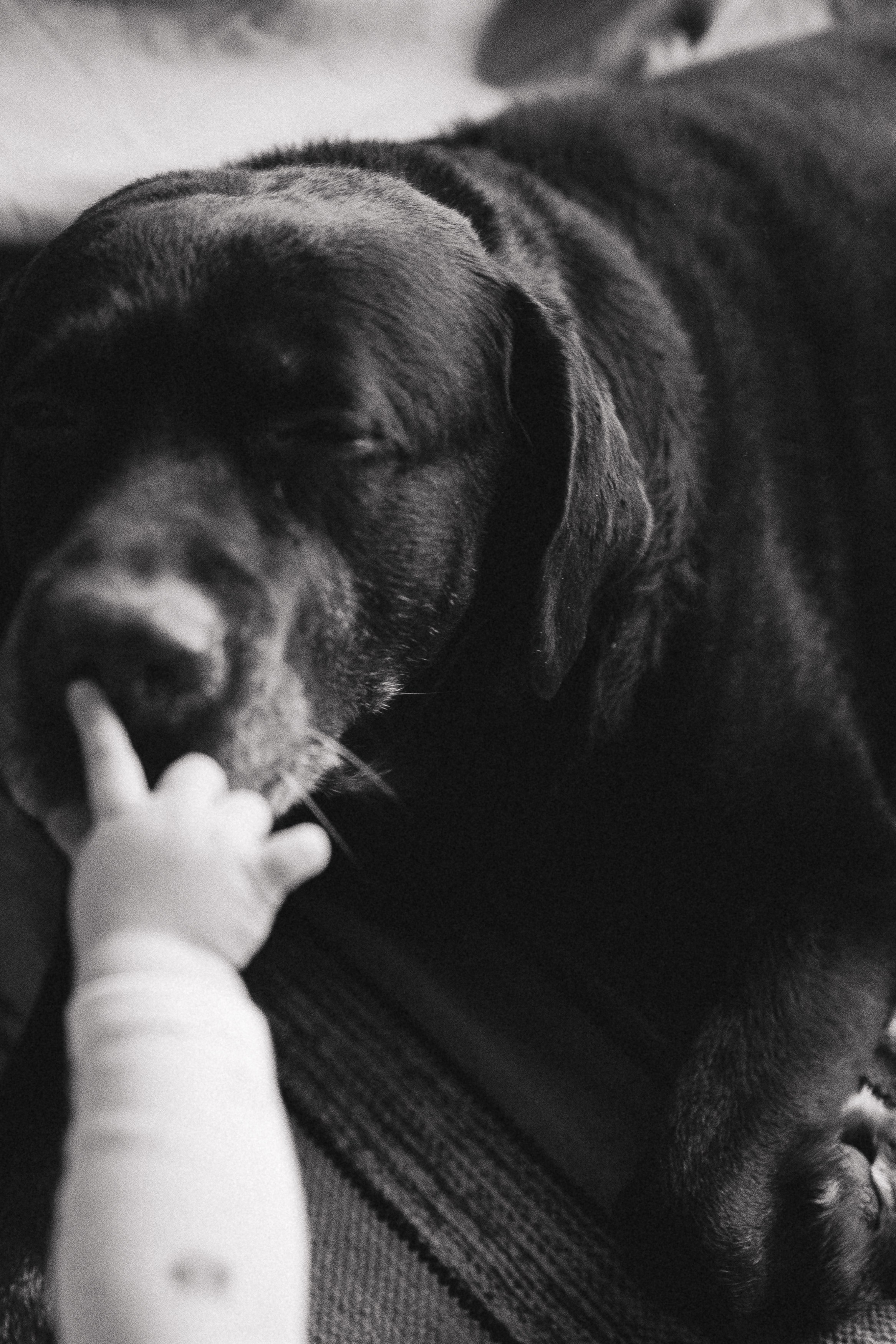 Катя, Антон, Таня, Бакс. Главная