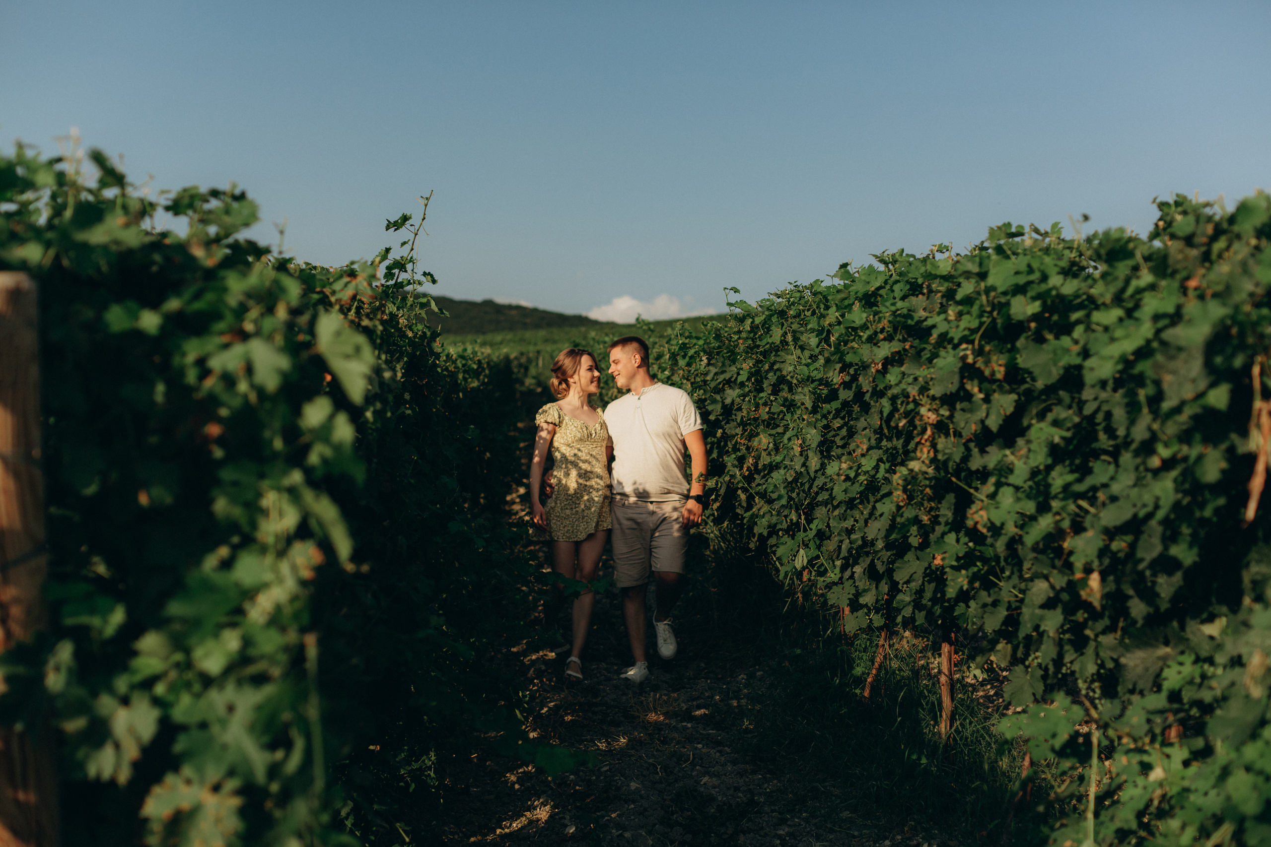 D&A. Никита Погосов