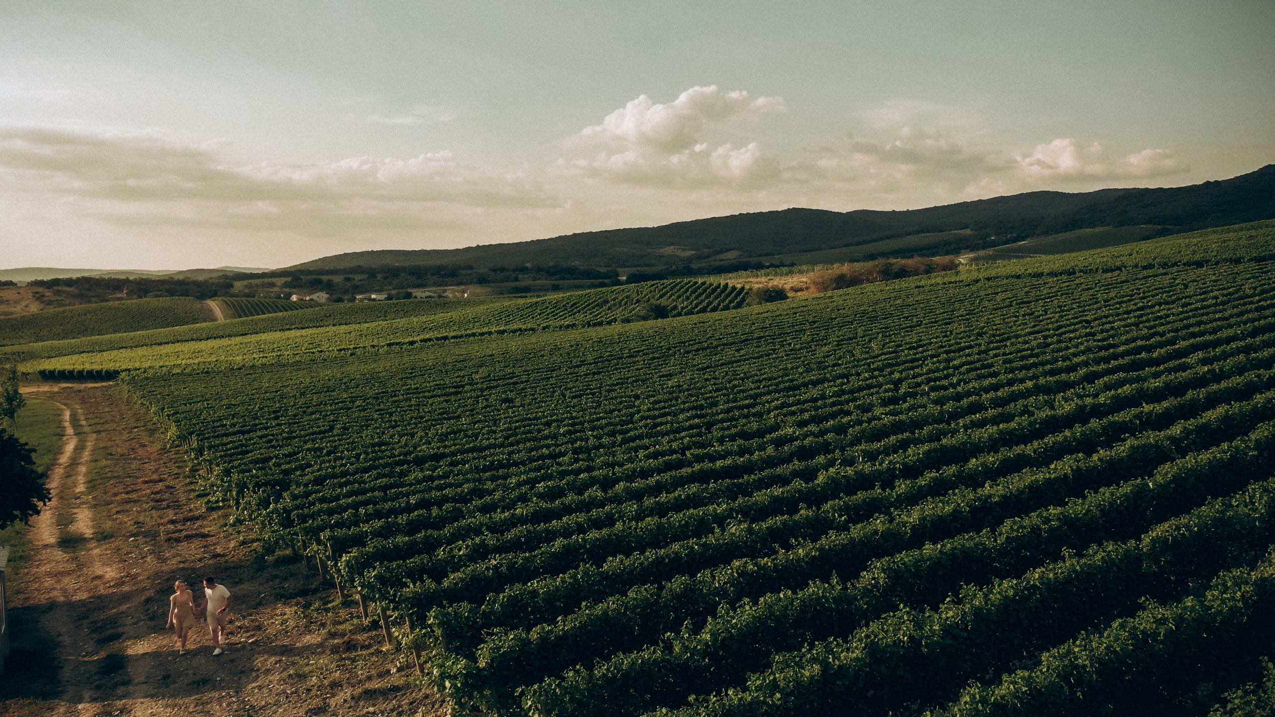 D&A. Никита Погосов