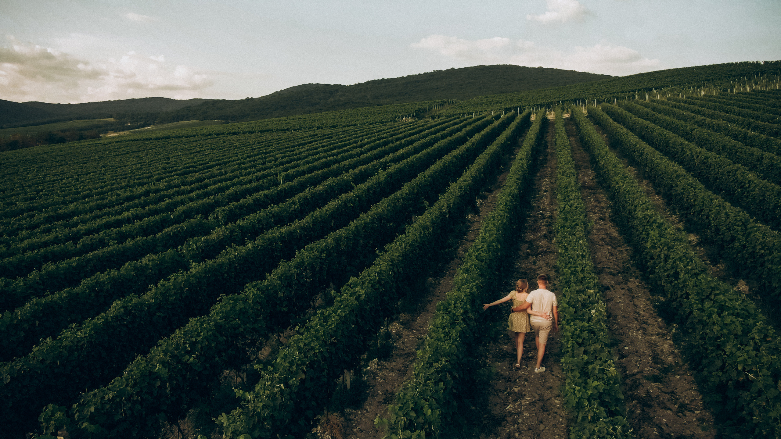 D&A. Никита Погосов