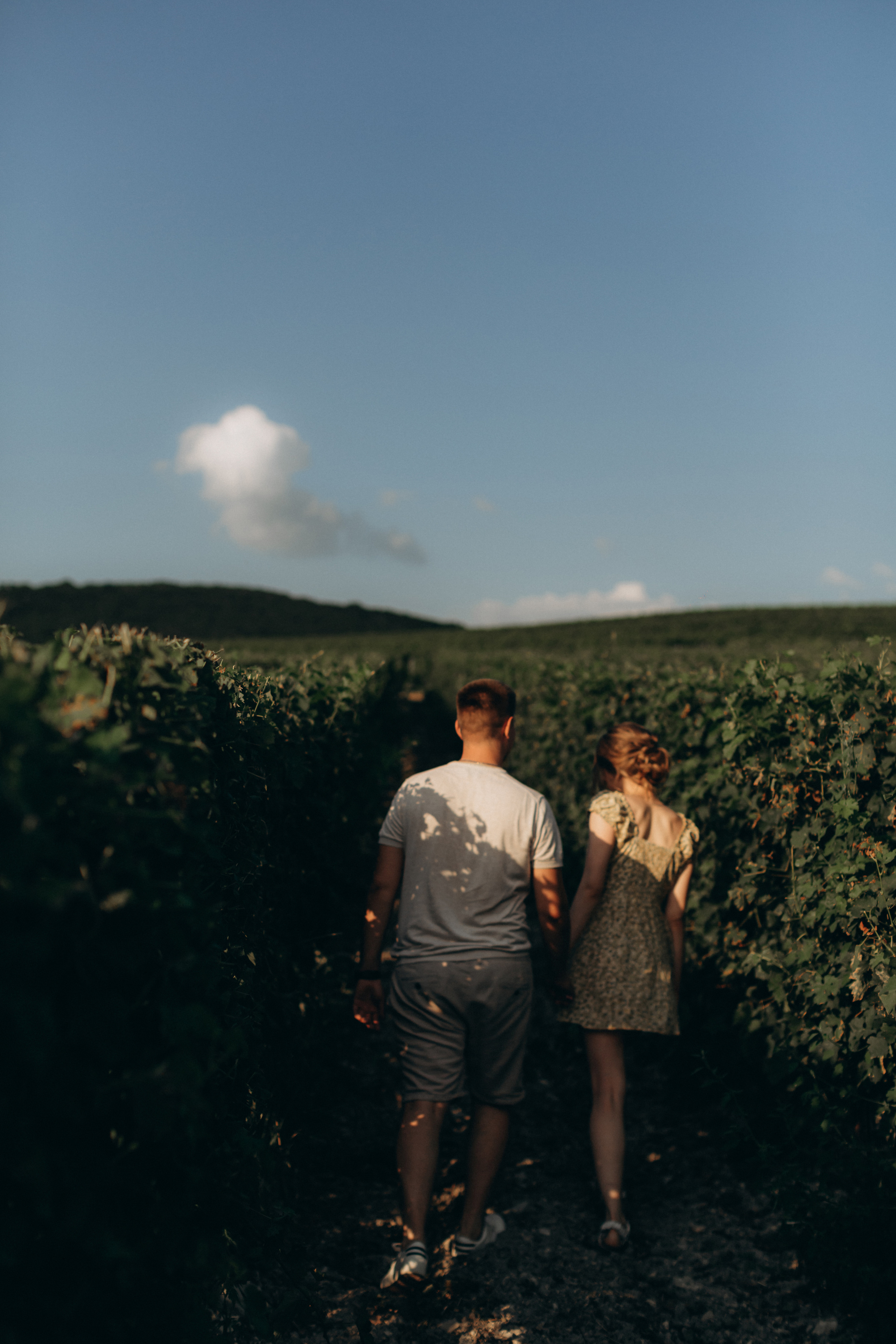 D&A. Никита Погосов