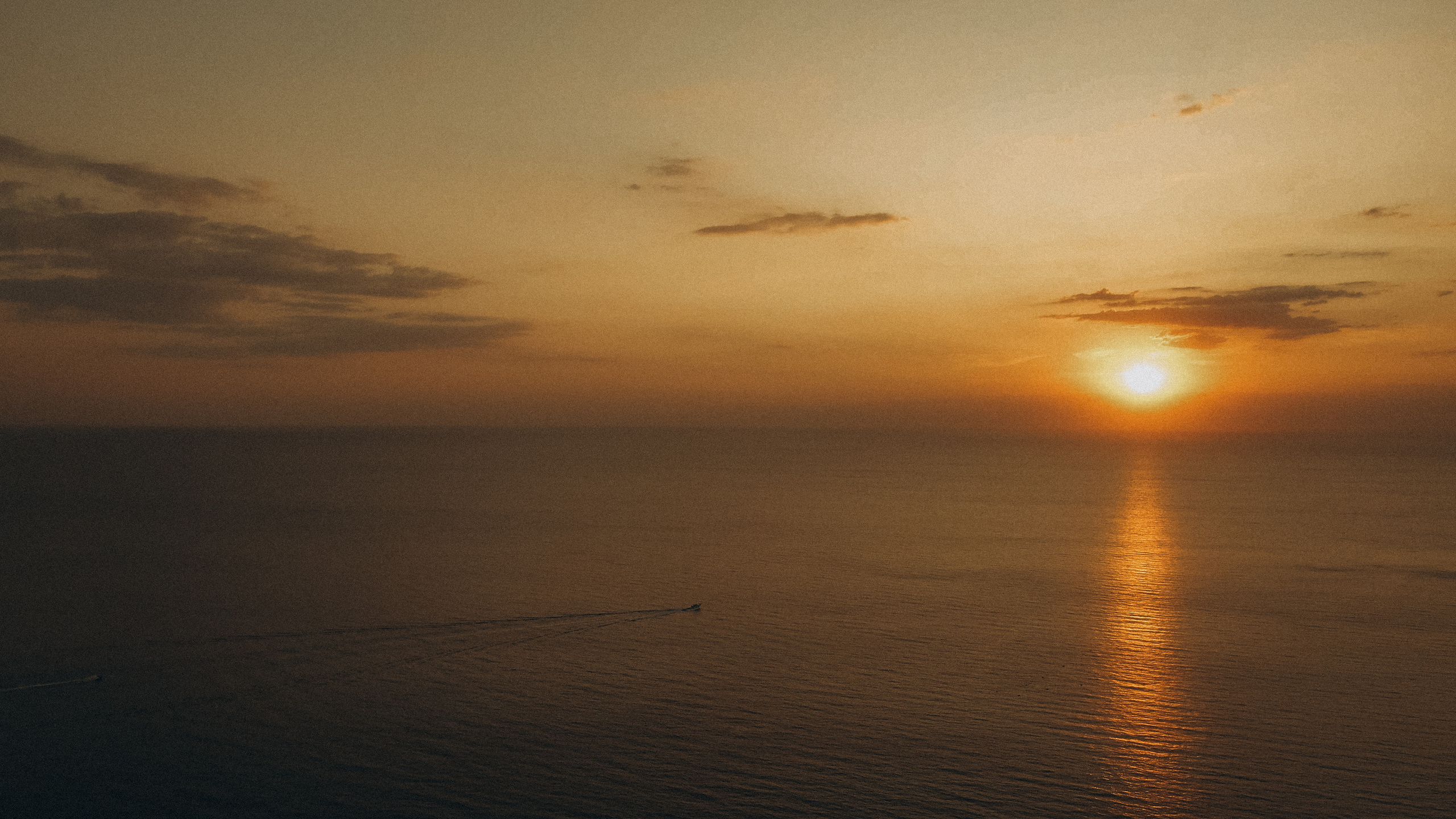 D&A. Никита Погосов