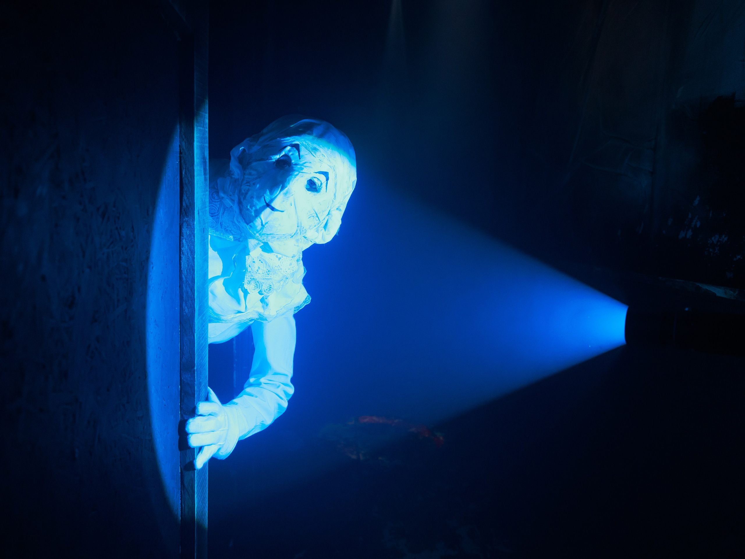 IQuest. Фотограф в Томске