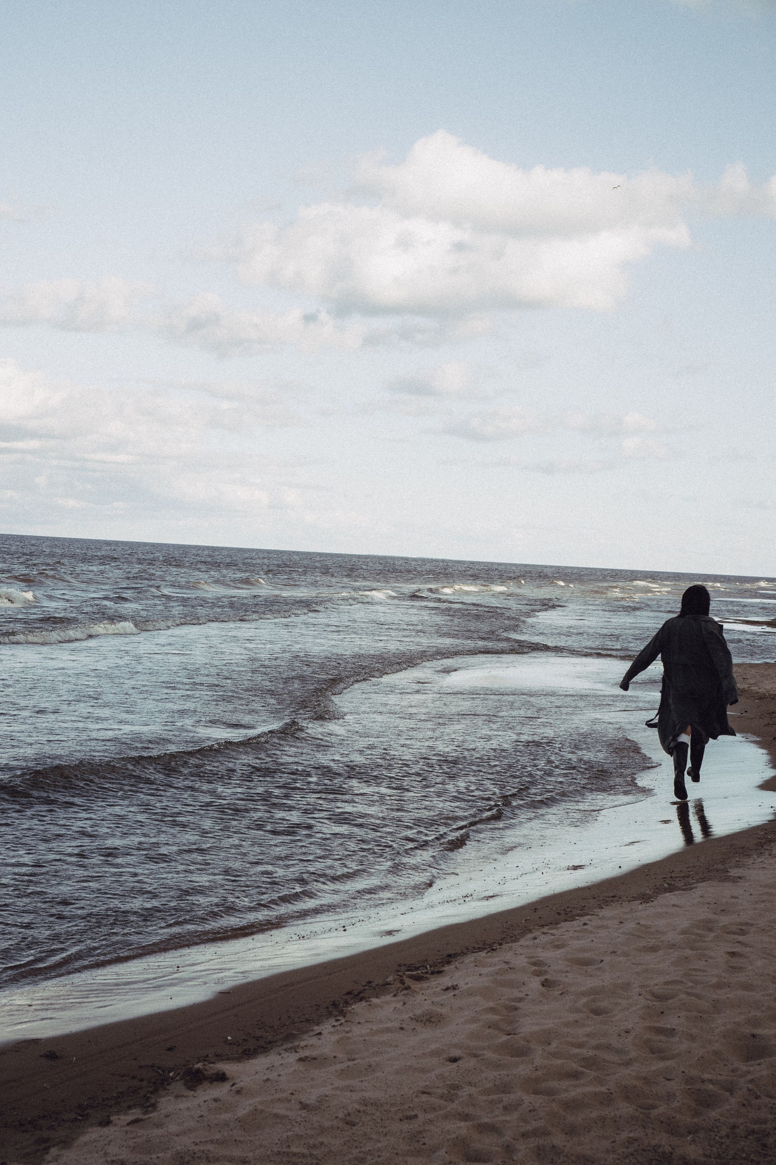 Розы. Профессиональный фотограф, Санкт-Петербург — Виктория Богомолова